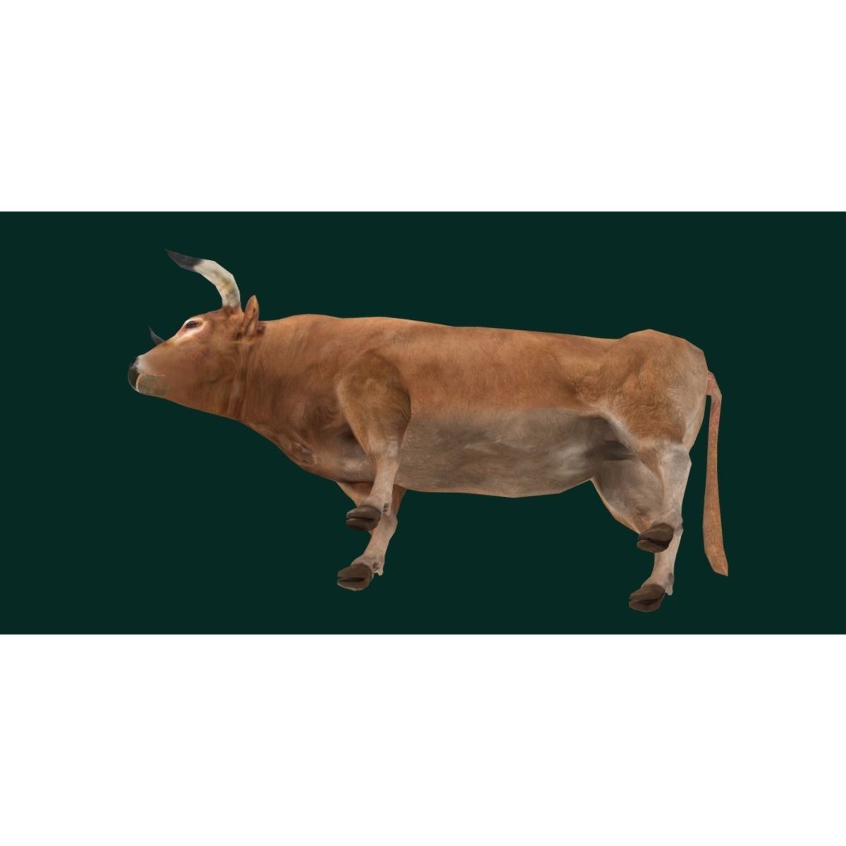 Oxen Bullock - Low-Poly Game-Ready 3D Model - View 23
