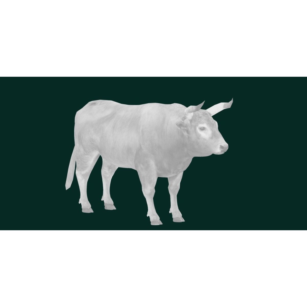 Oxen Bullock - Low-Poly Game-Ready 3D Model - View 26