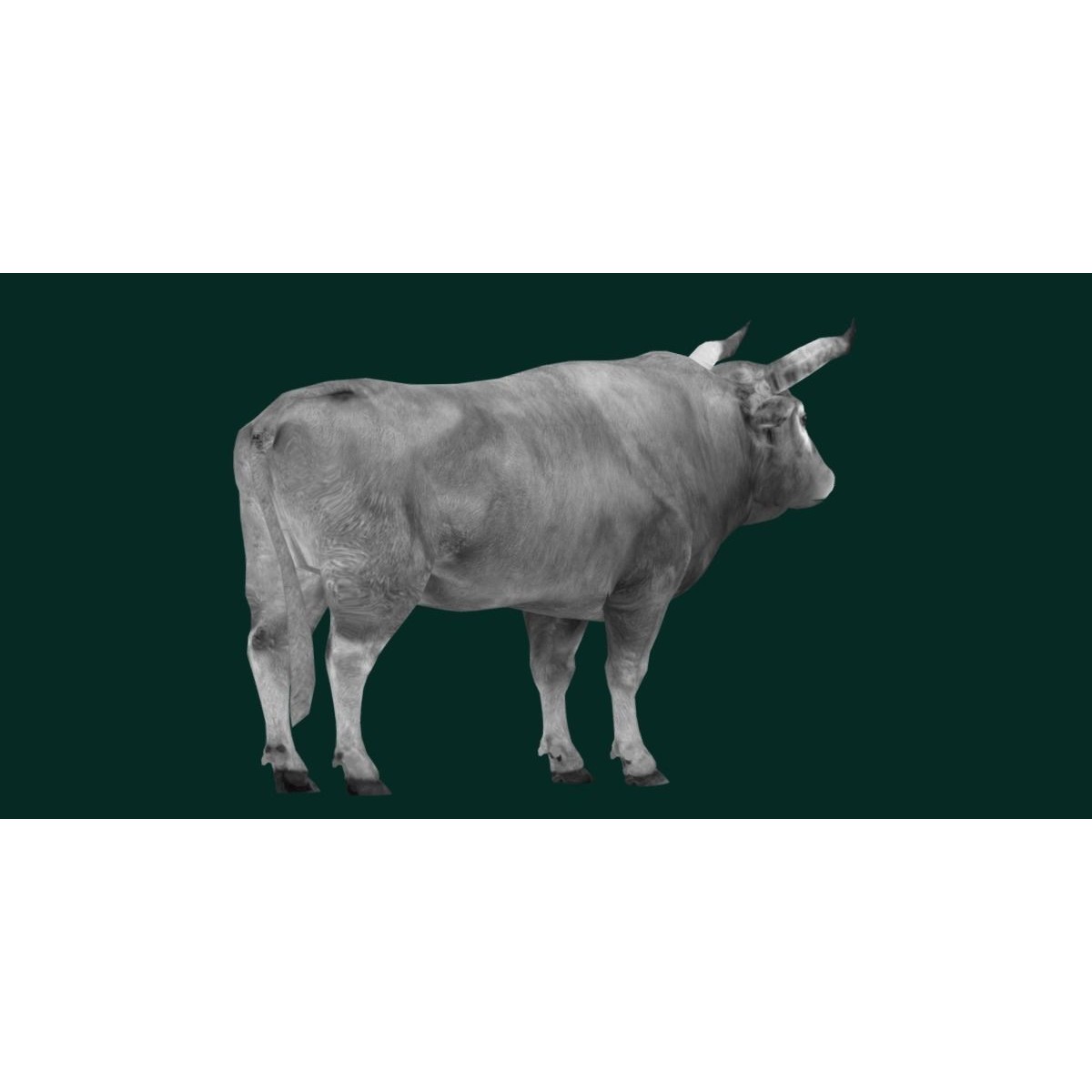 Oxen Bullock - Low-Poly Game-Ready 3D Model - View 9