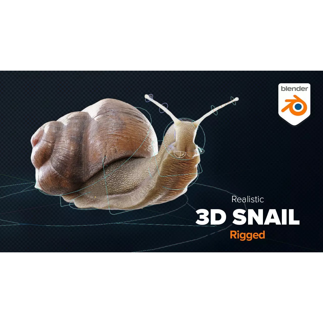 Snail - Game-Ready 3D Model - View 2