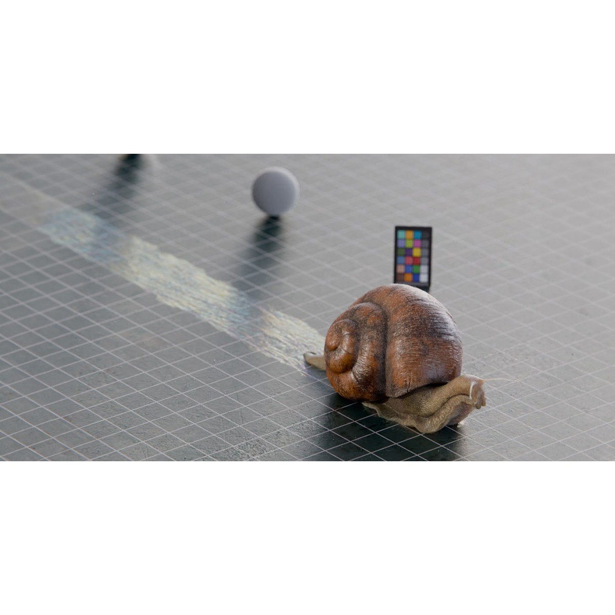 Snail - Game-Ready 3D Model - View 3