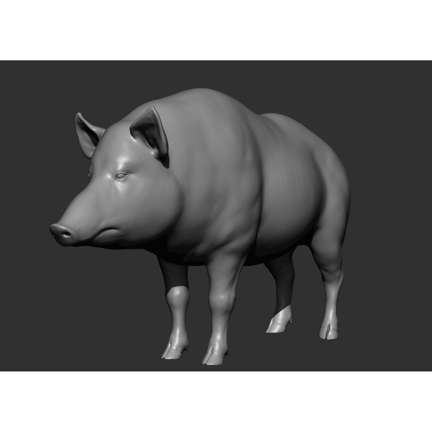 Wild Animal Collection - Realistic 3D Model