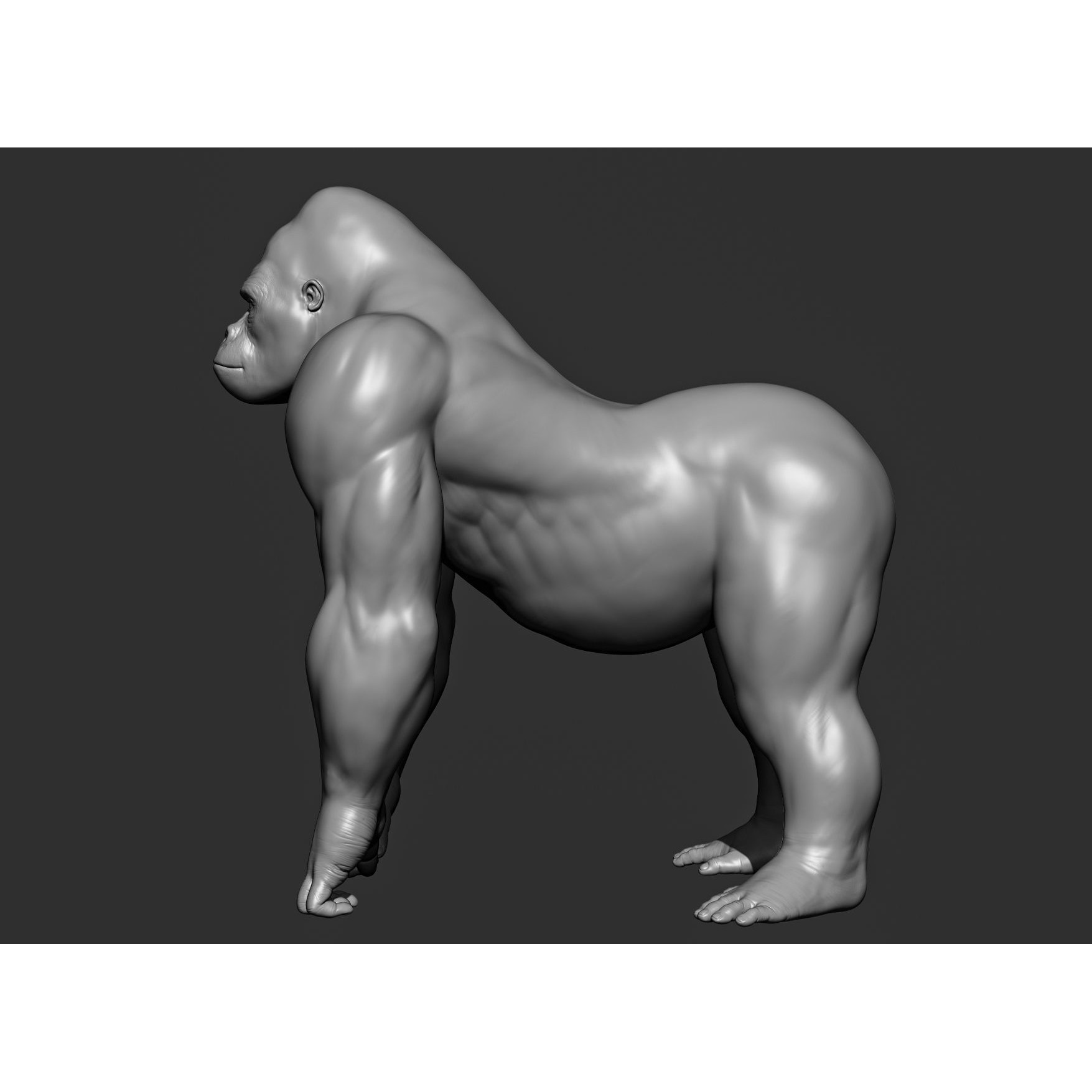 Wild Animal Collection - Realistic 3D Model - View 100