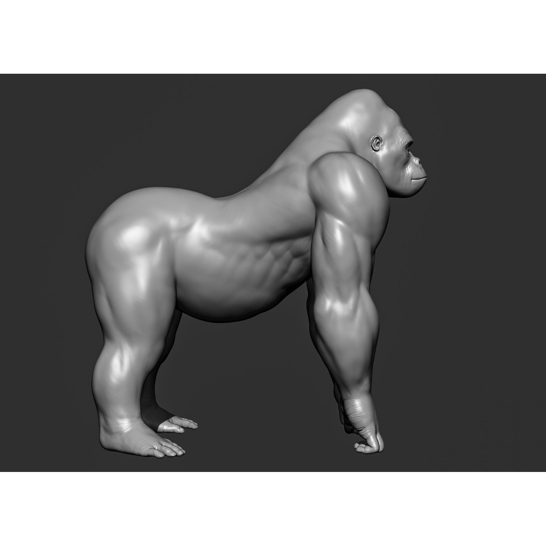 Wild Animal Collection - Realistic 3D Model - View 101