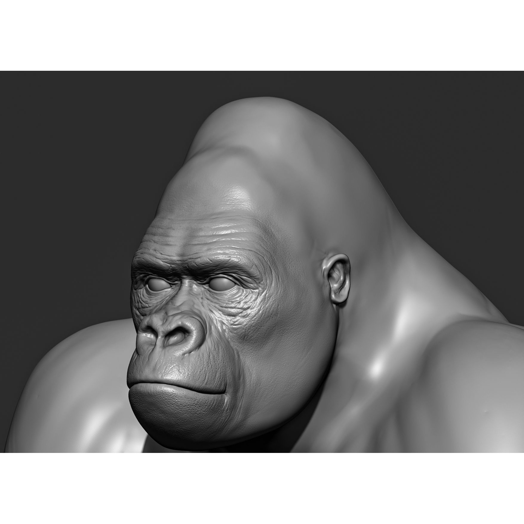 Wild Animal Collection - Realistic 3D Model - View 103