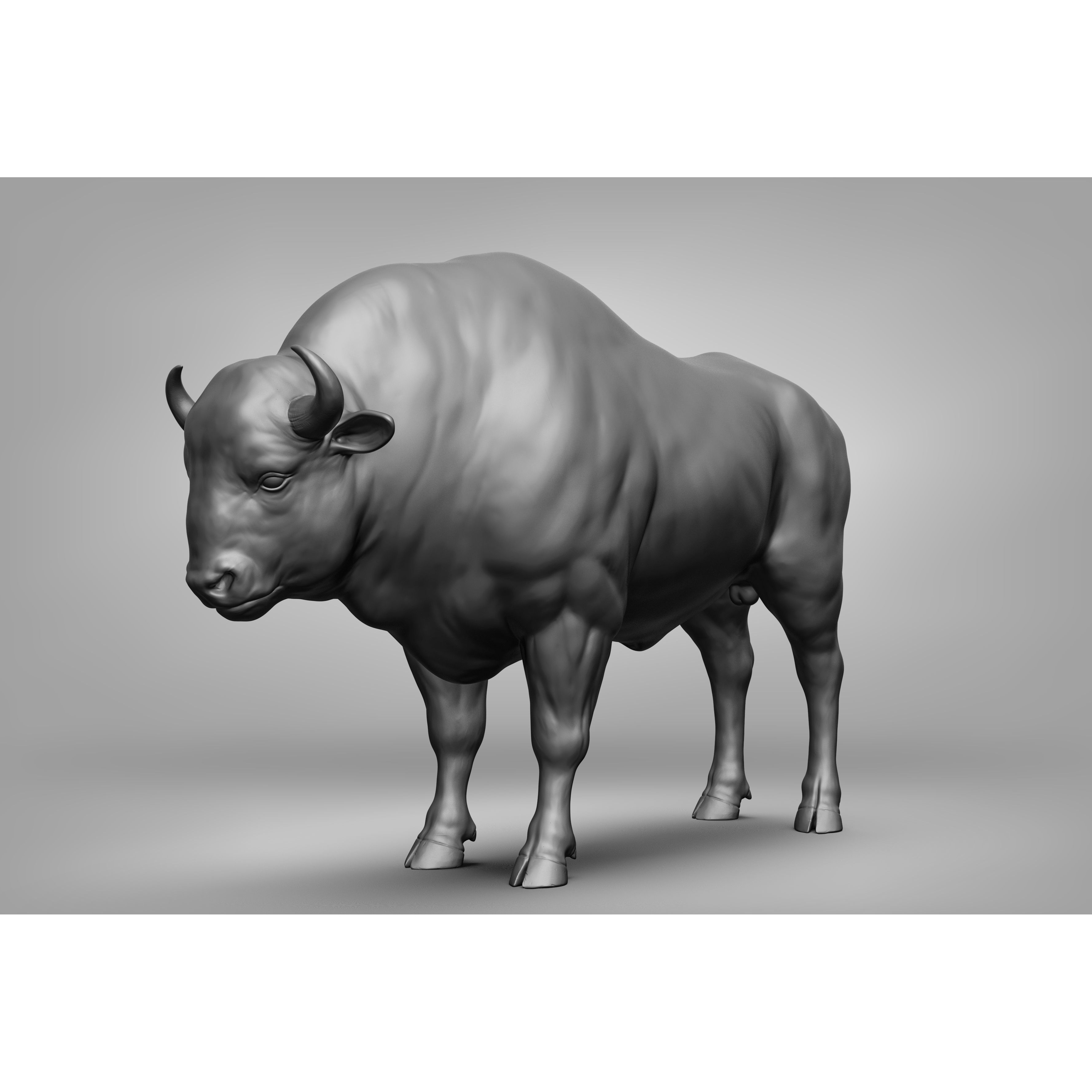 Wild Animal Collection - Realistic 3D Model - View 105