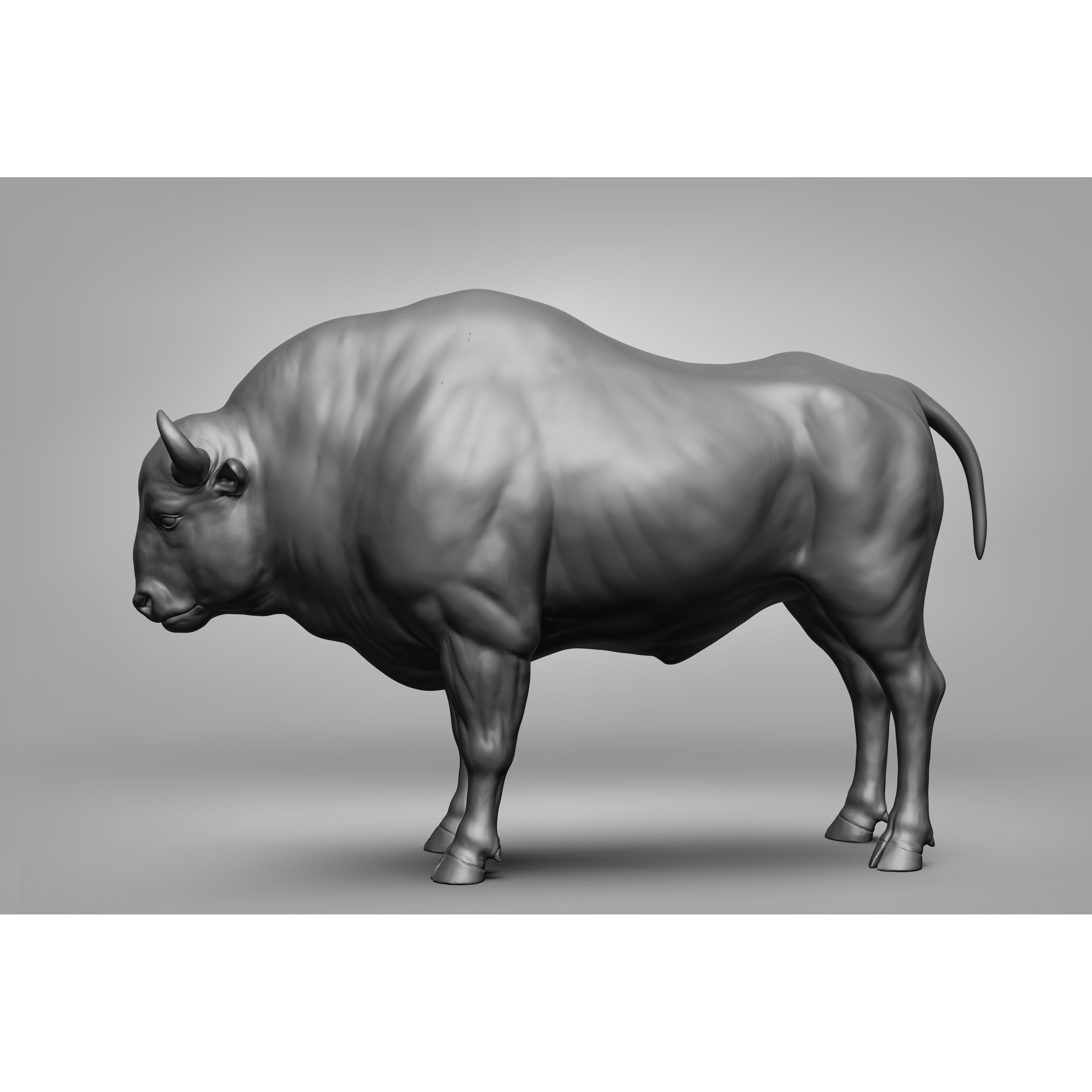 Wild Animal Collection - Realistic 3D Model - View 106