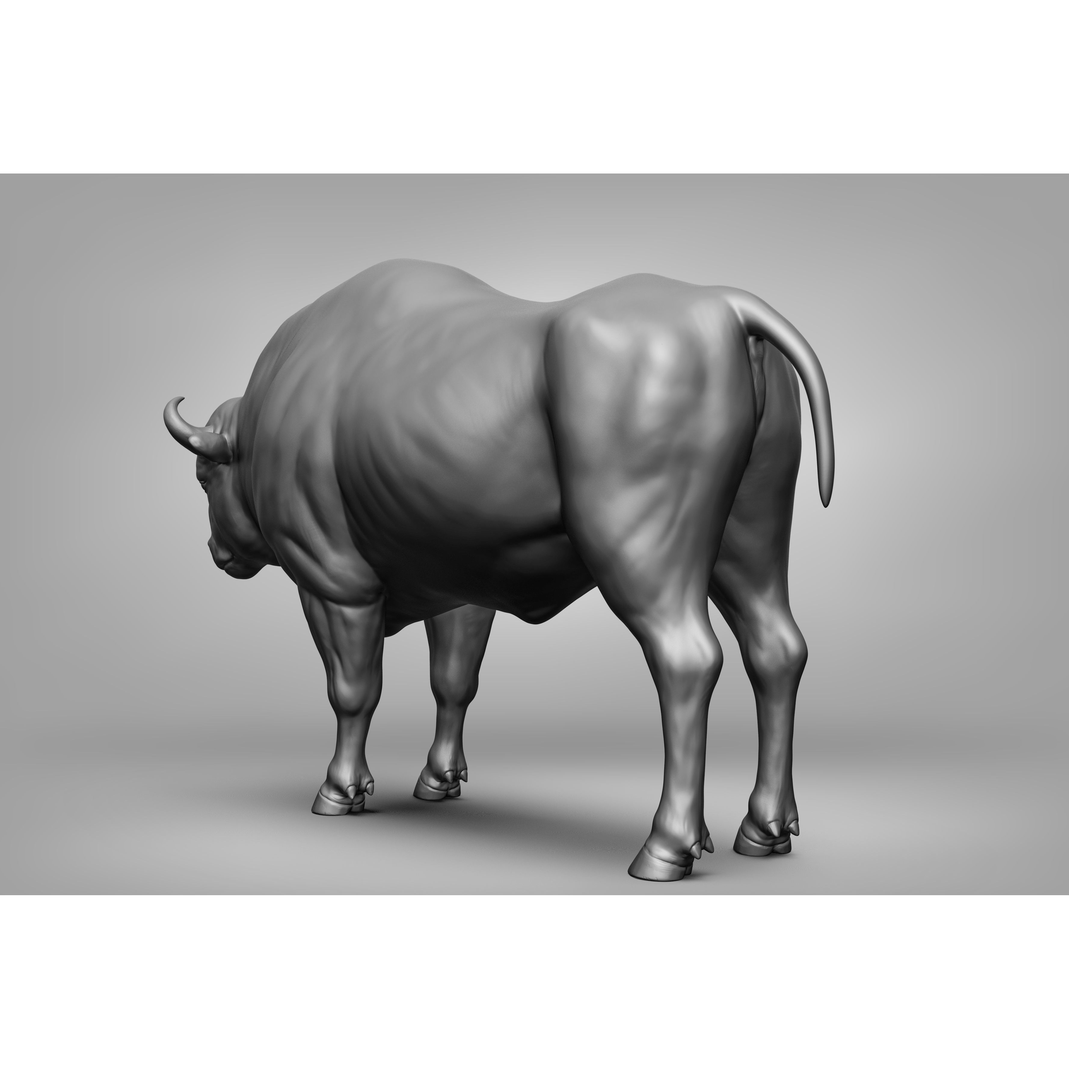 Wild Animal Collection - Realistic 3D Model - View 107