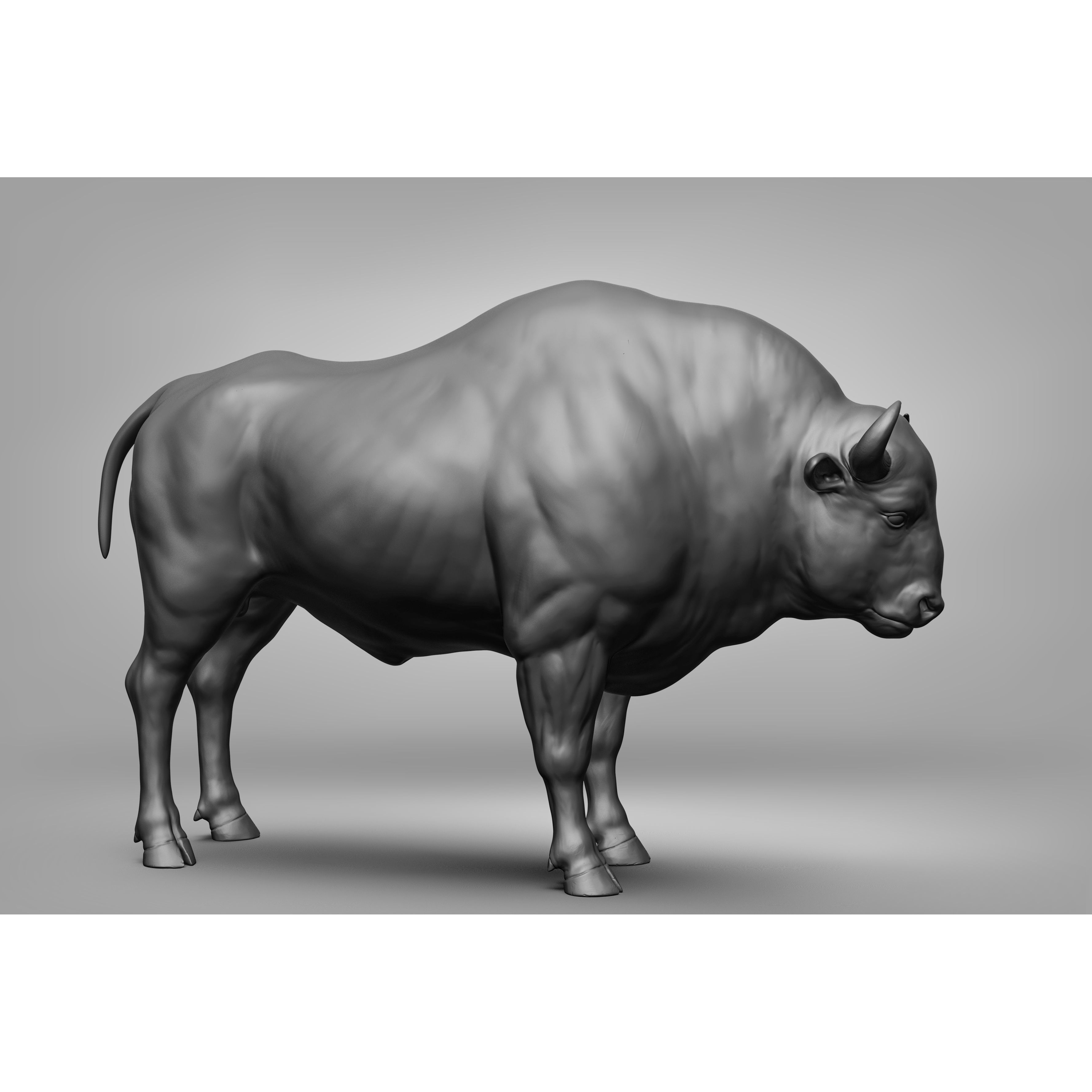 Wild Animal Collection - Realistic 3D Model - View 108