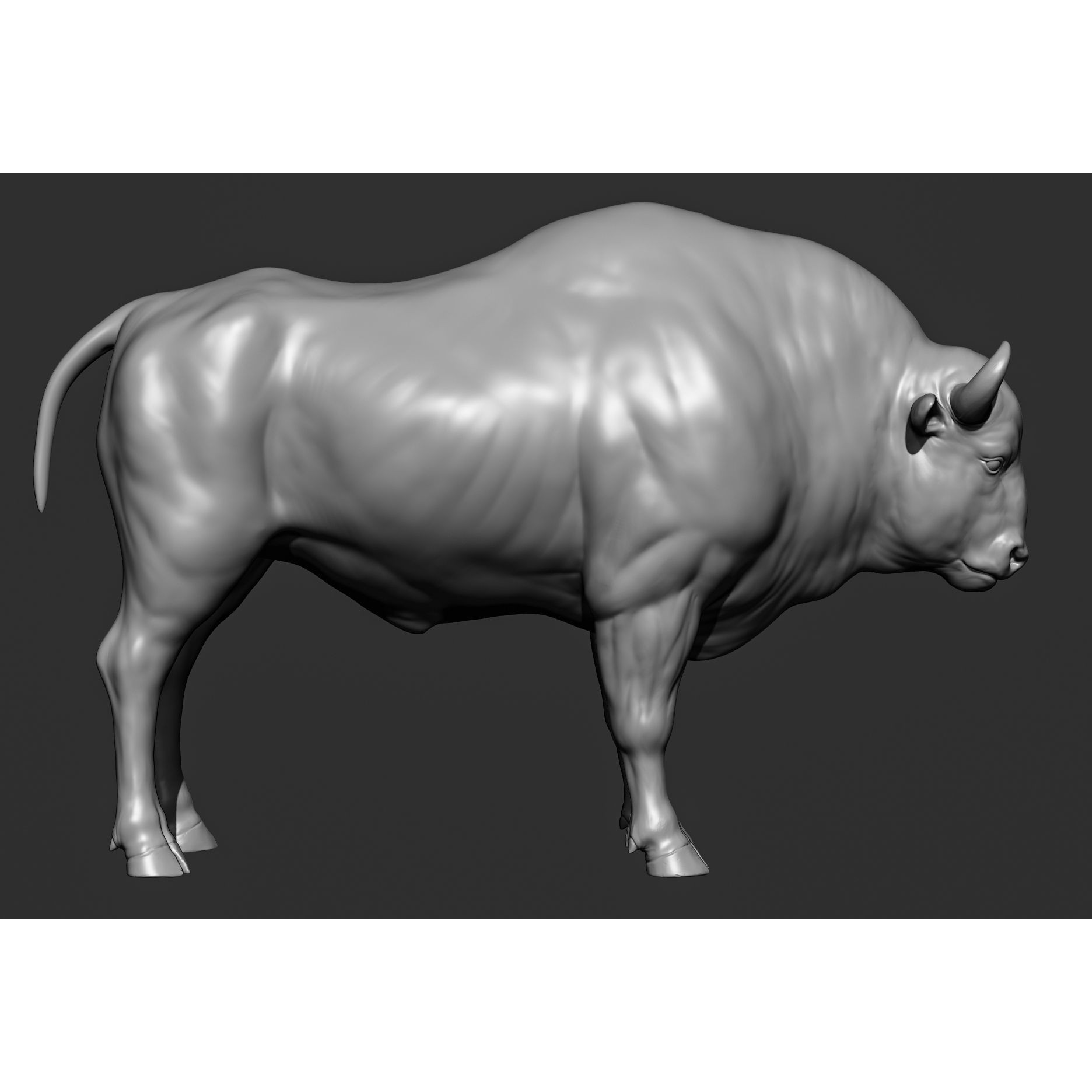Wild Animal Collection - Realistic 3D Model - View 109