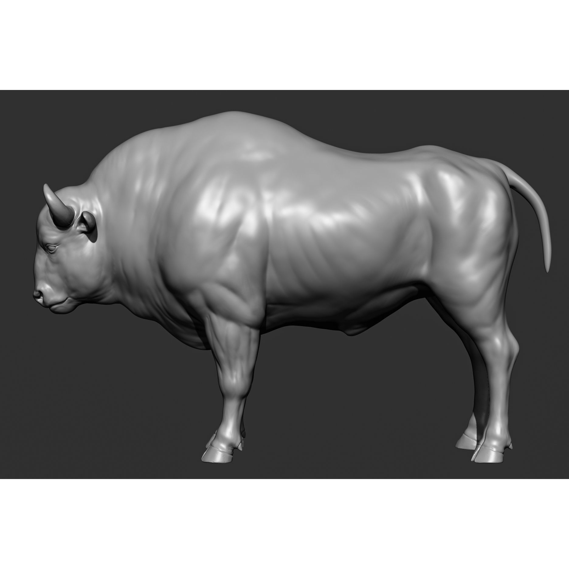 Wild Animal Collection - Realistic 3D Model - View 110
