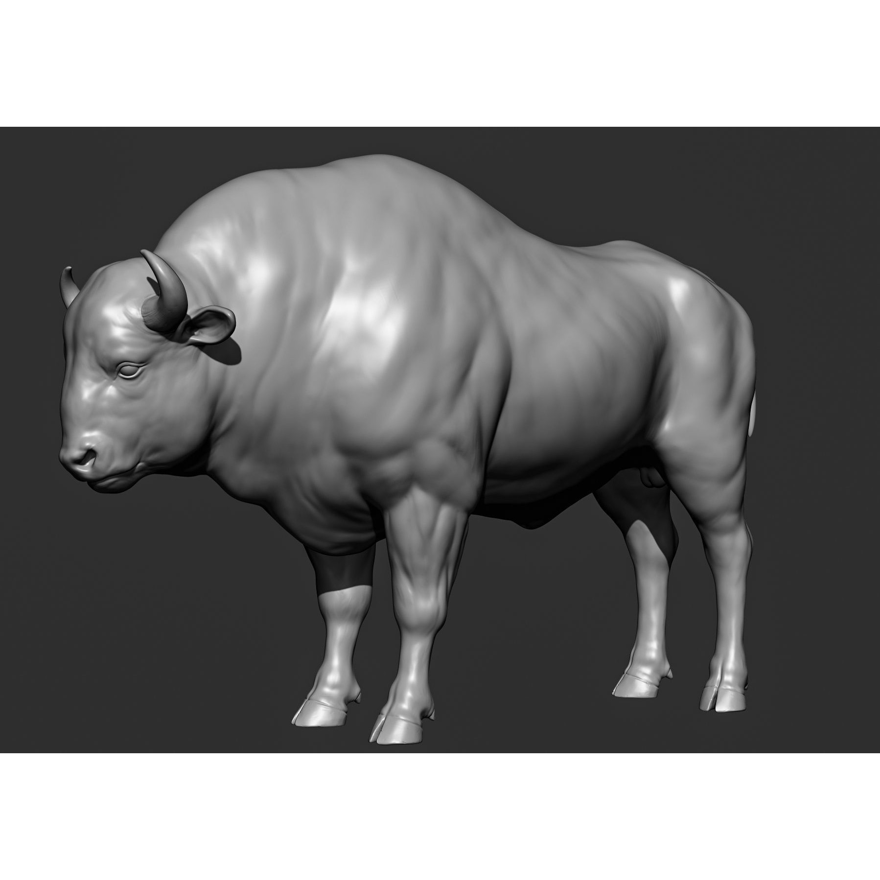 Wild Animal Collection - Realistic 3D Model - View 111