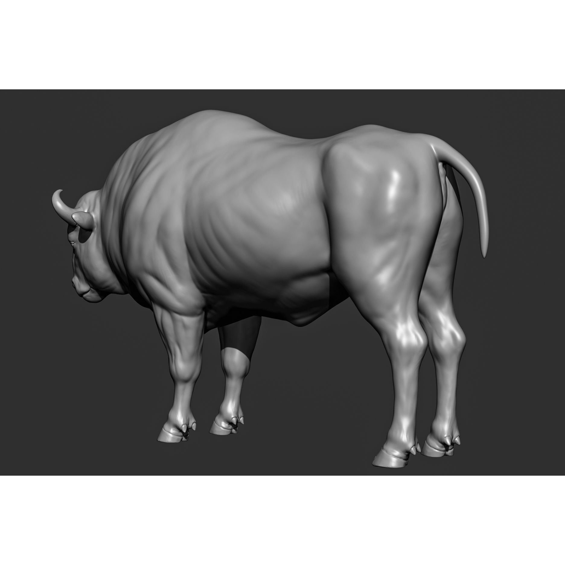 Wild Animal Collection - Realistic 3D Model - View 112