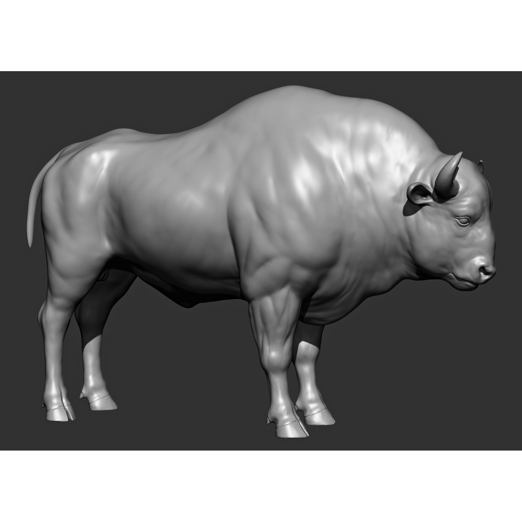 Wild Animal Collection - Realistic 3D Model - View 113