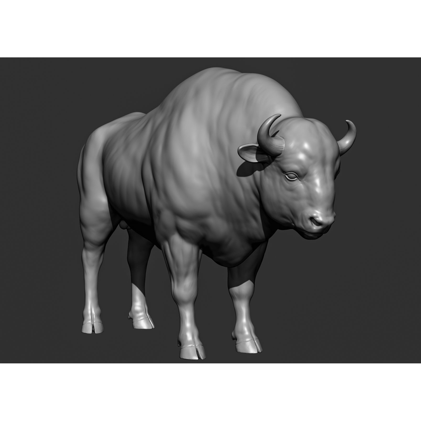 Wild Animal Collection - Realistic 3D Model - View 114