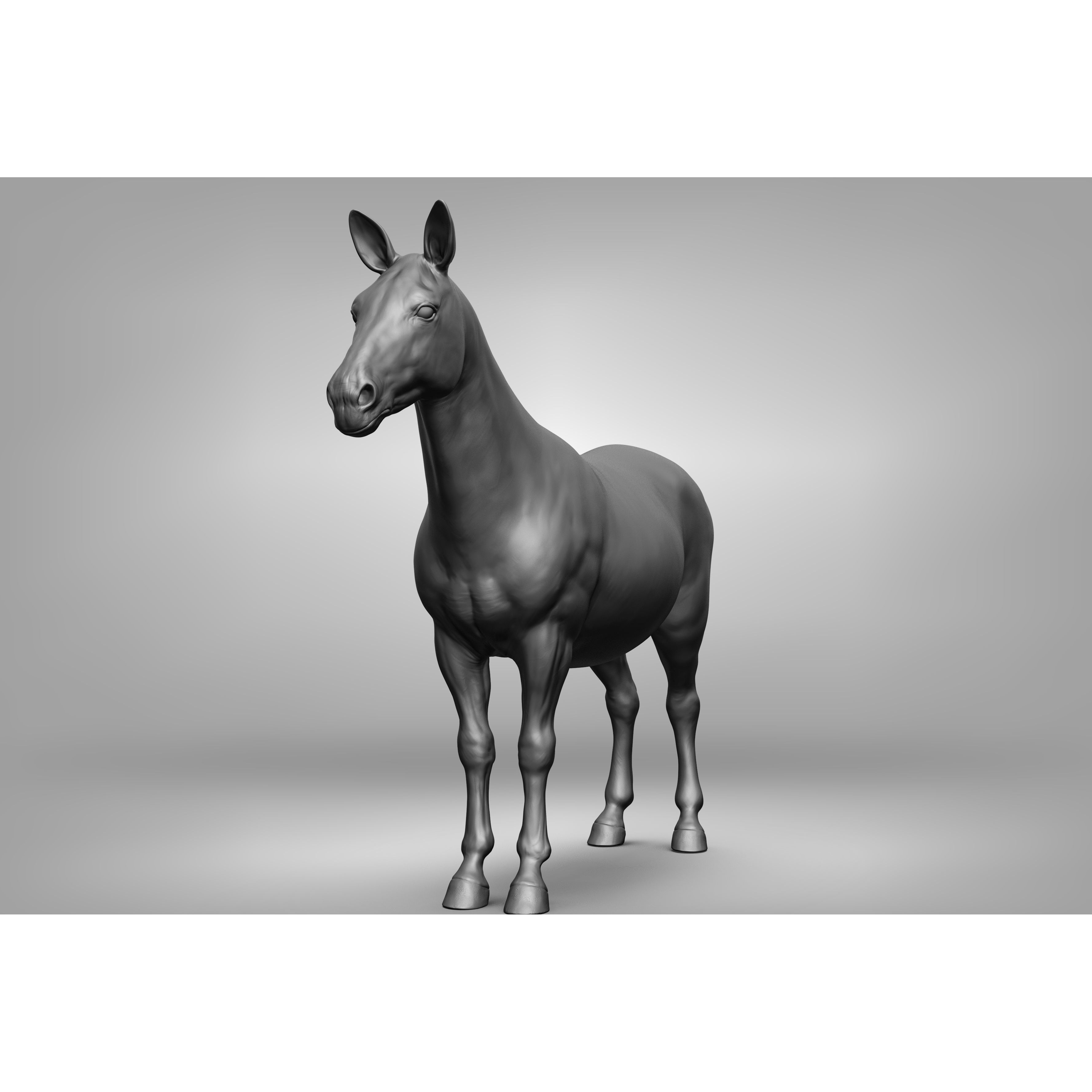 Wild Animal Collection - Realistic 3D Model - View 117