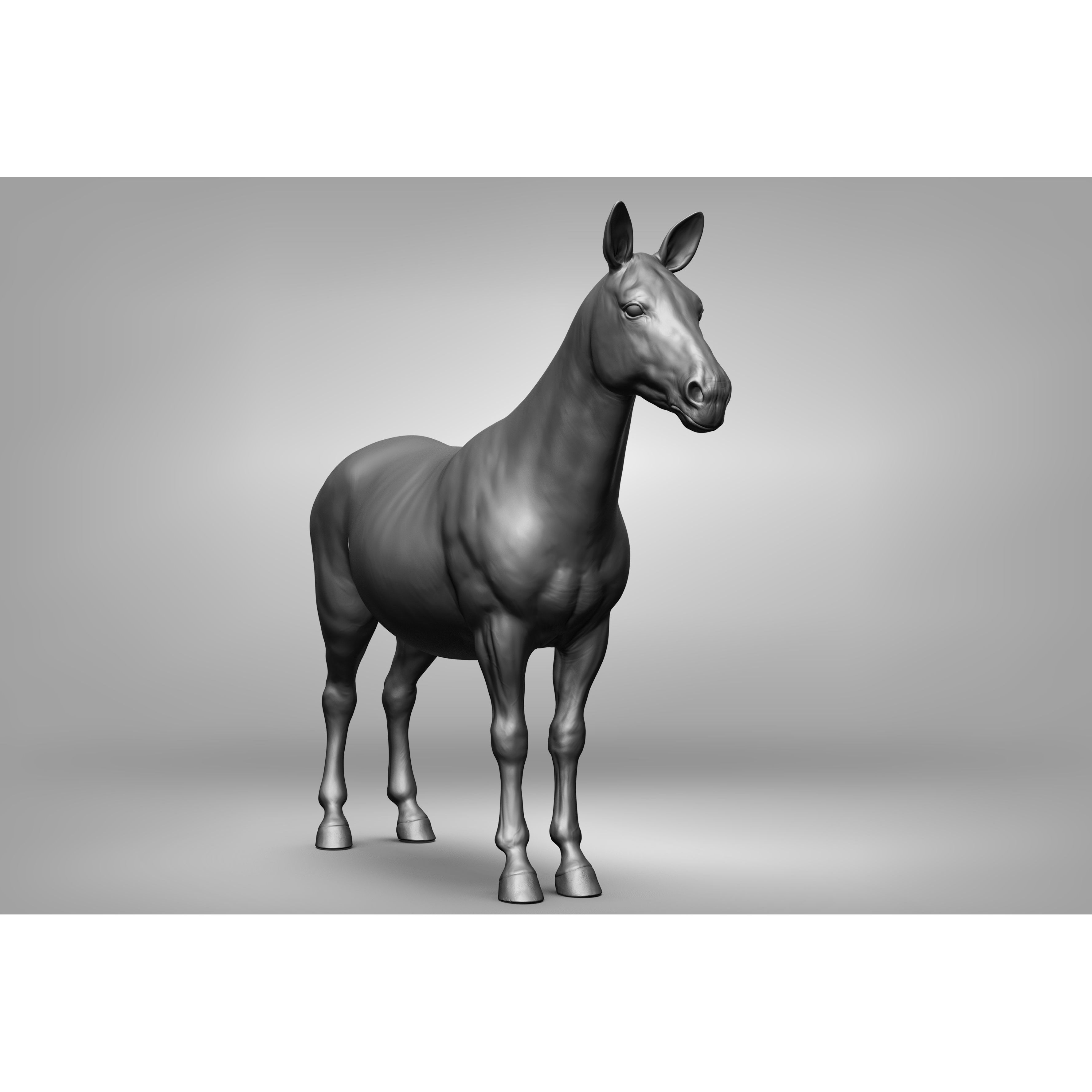 Wild Animal Collection - Realistic 3D Model - View 118