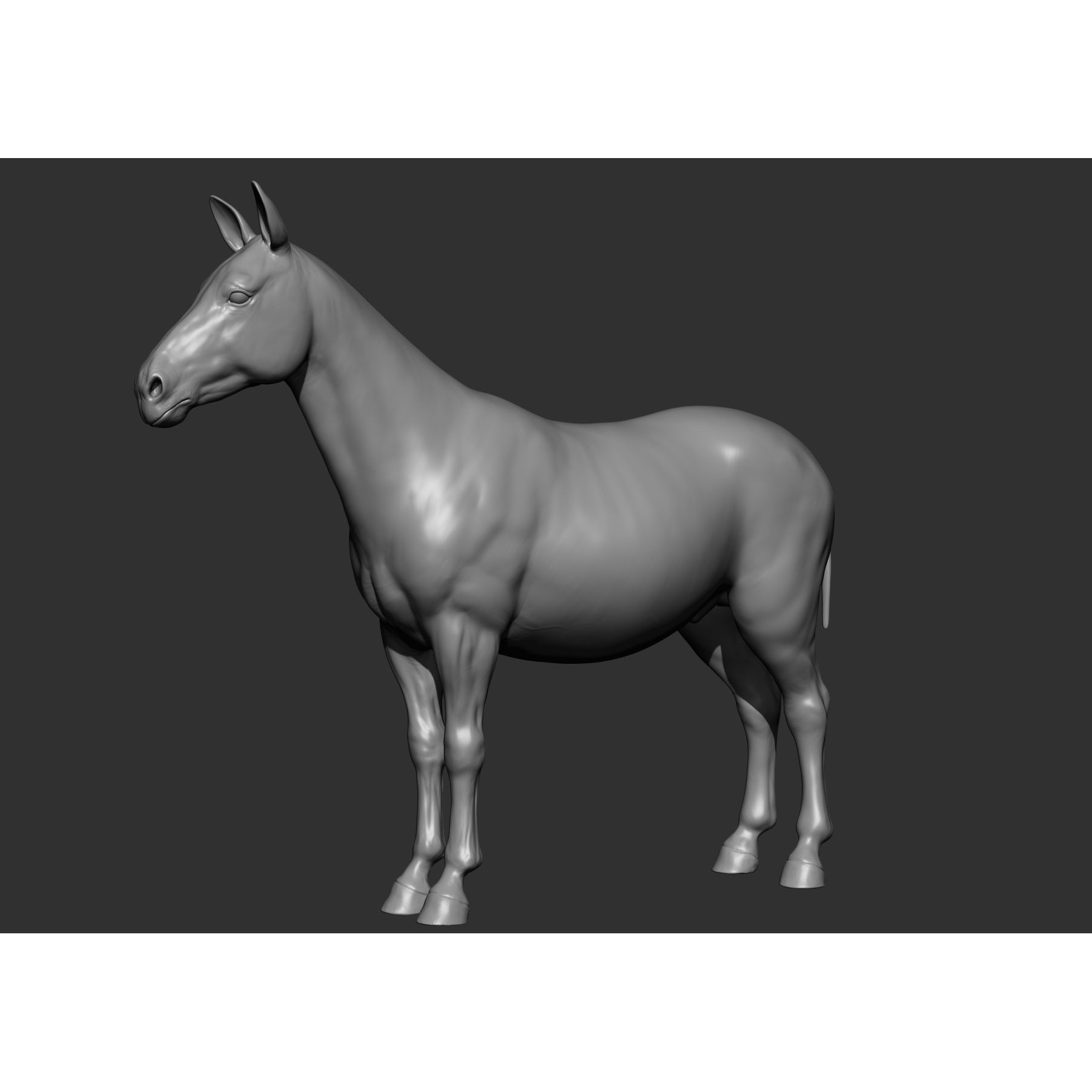 Wild Animal Collection - Realistic 3D Model - View 120