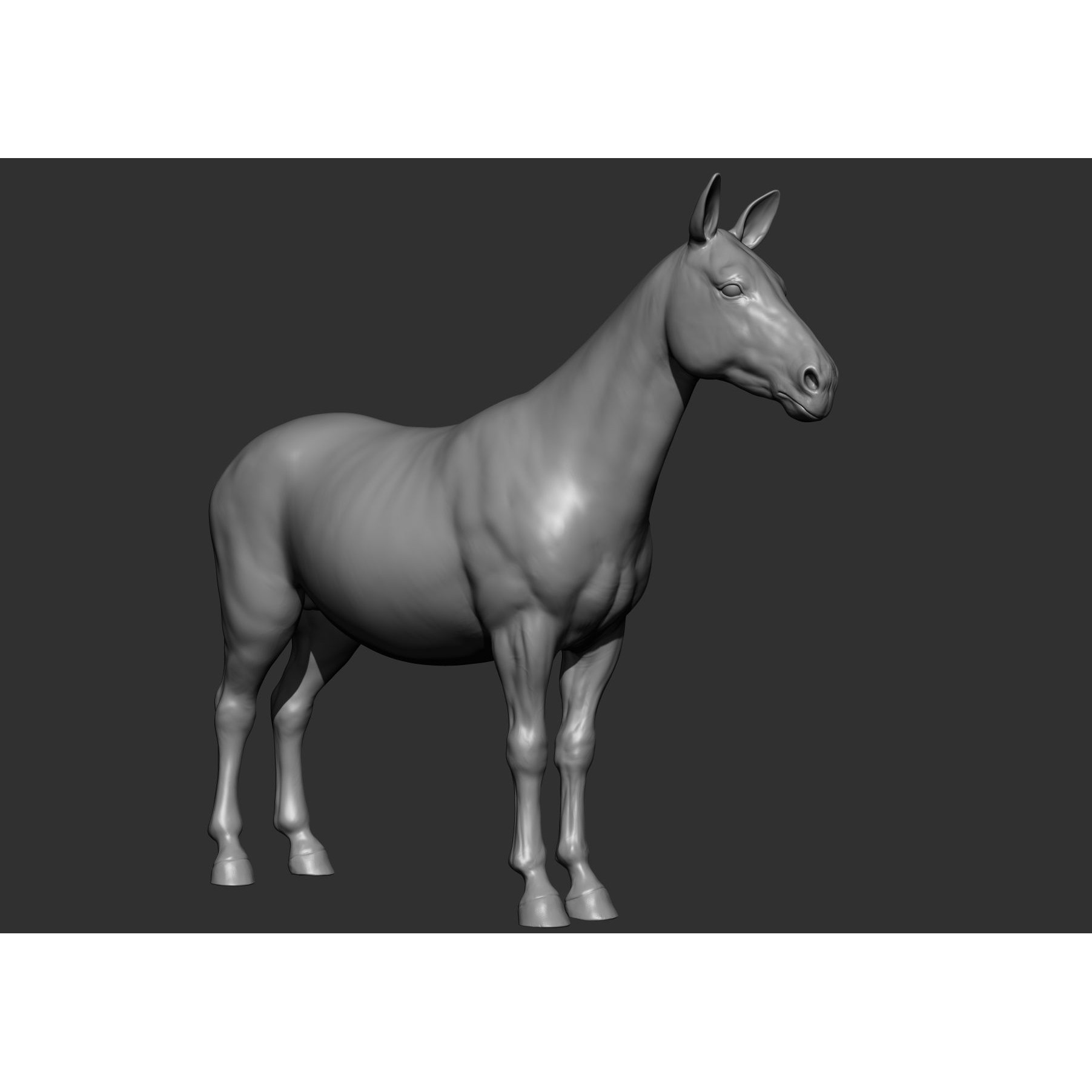 Wild Animal Collection - Realistic 3D Model - View 121