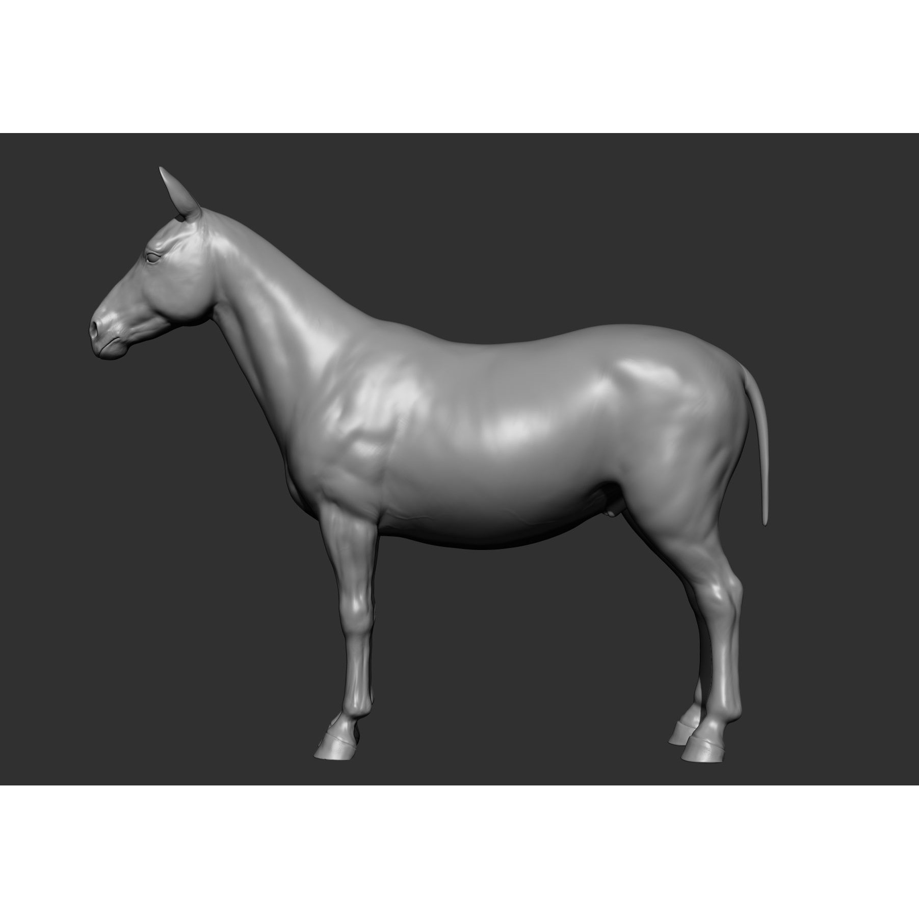 Wild Animal Collection - Realistic 3D Model - View 122