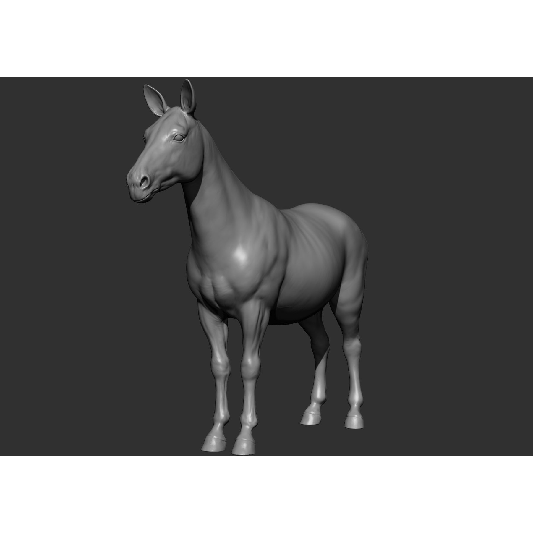 Wild Animal Collection - Realistic 3D Model - View 123