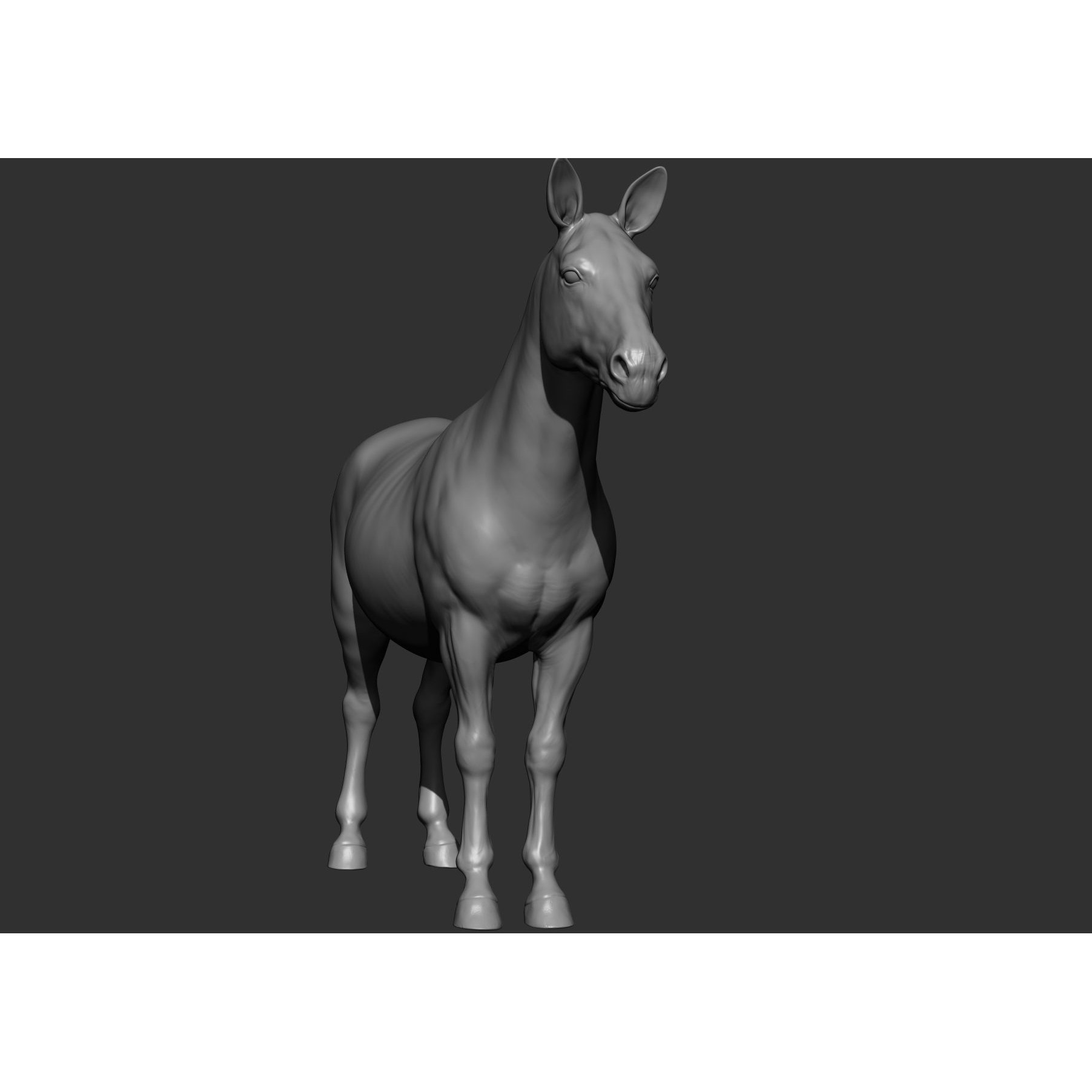 Wild Animal Collection - Realistic 3D Model - View 124