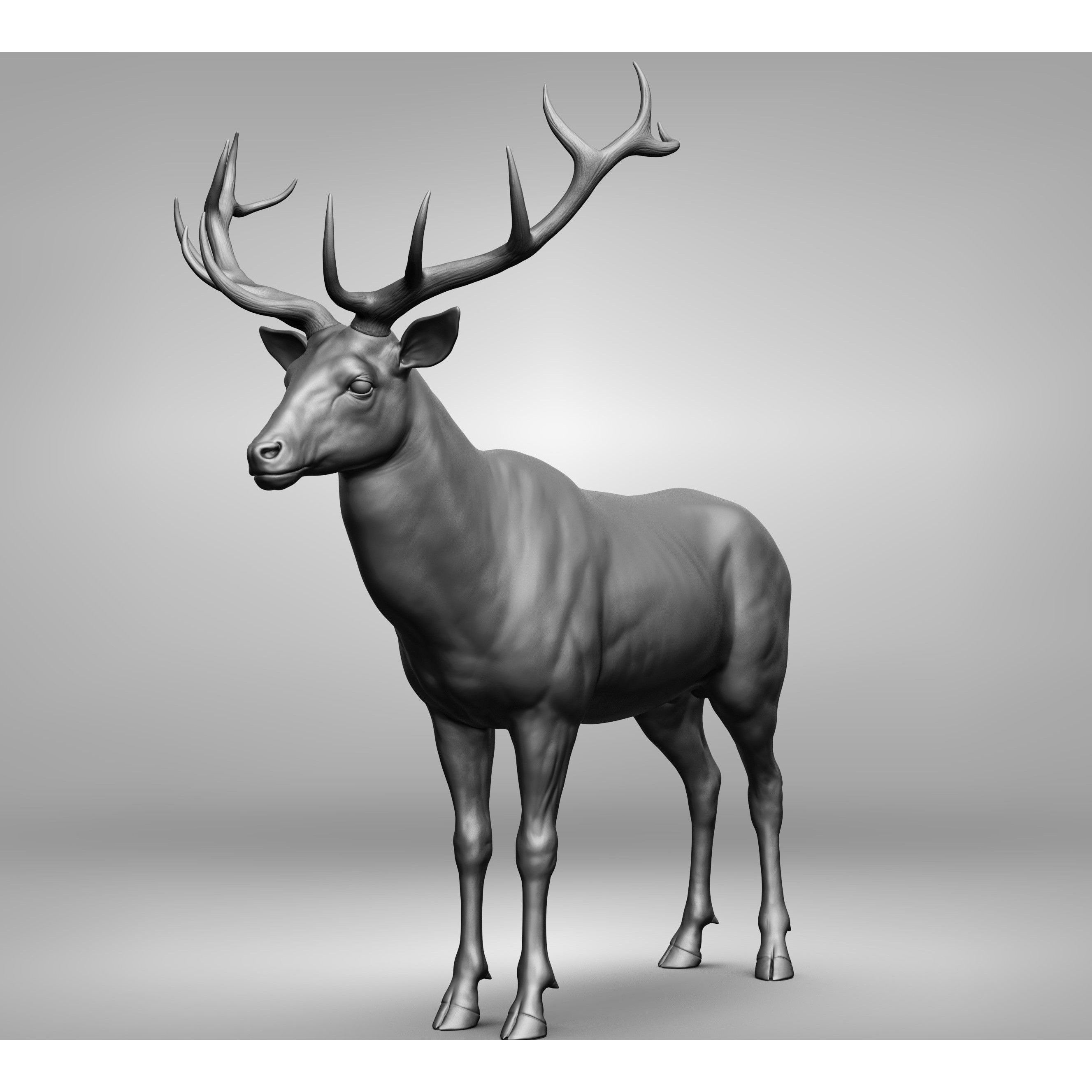Wild Animal Collection - Realistic 3D Model - View 125