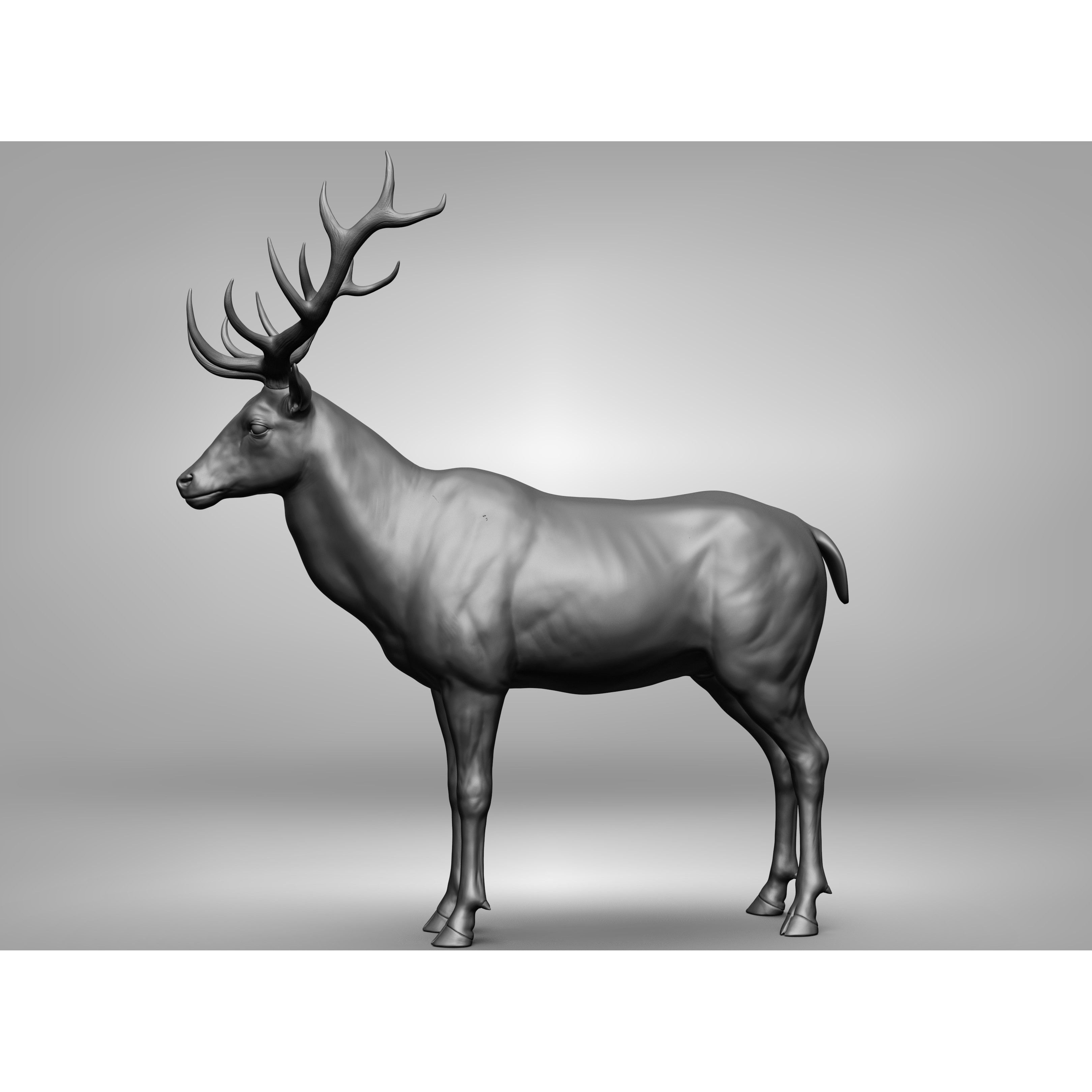 Wild Animal Collection - Realistic 3D Model - View 126