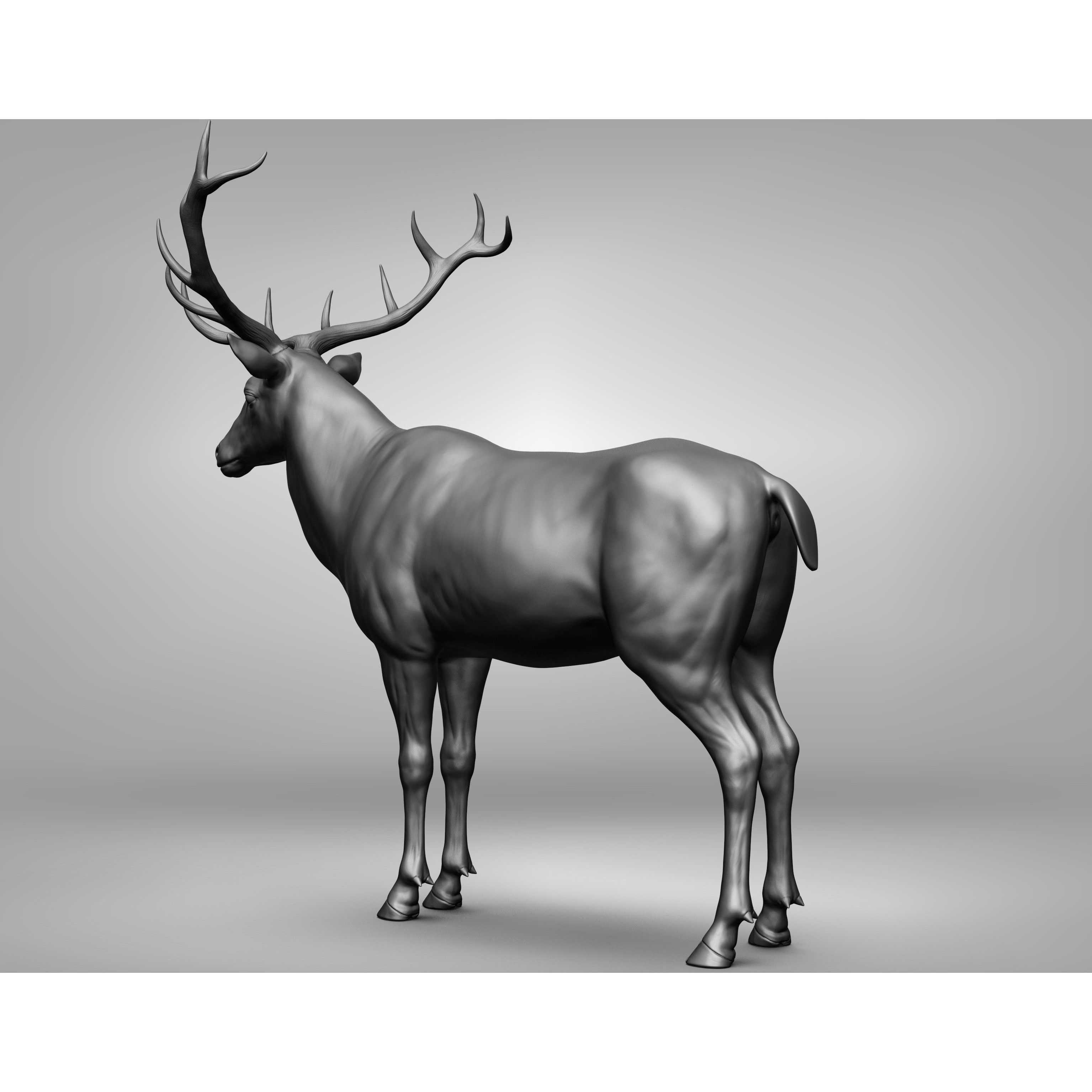 Wild Animal Collection - Realistic 3D Model - View 127