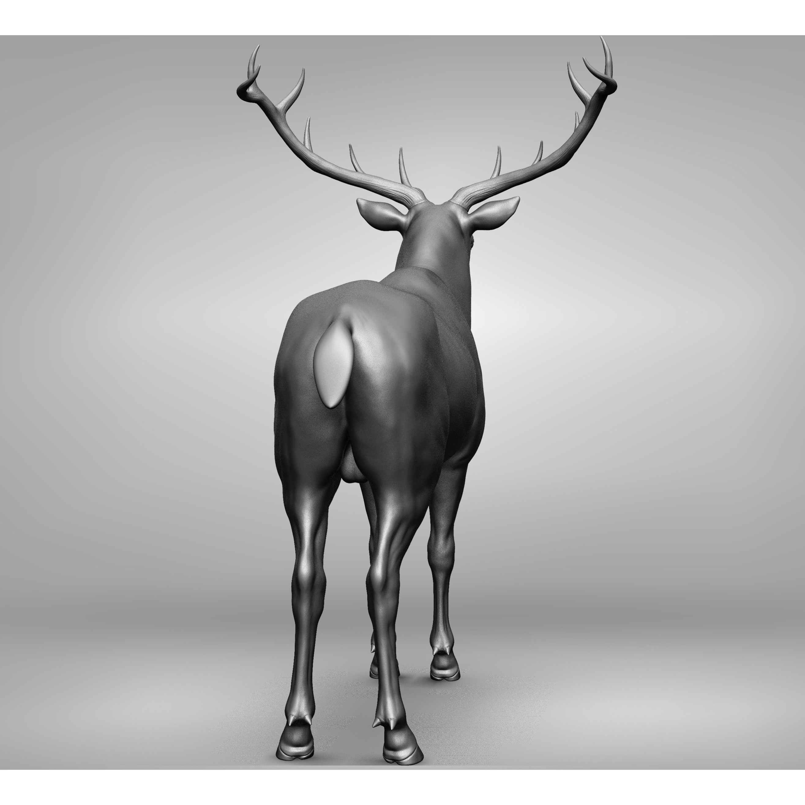 Wild Animal Collection - Realistic 3D Model - View 128