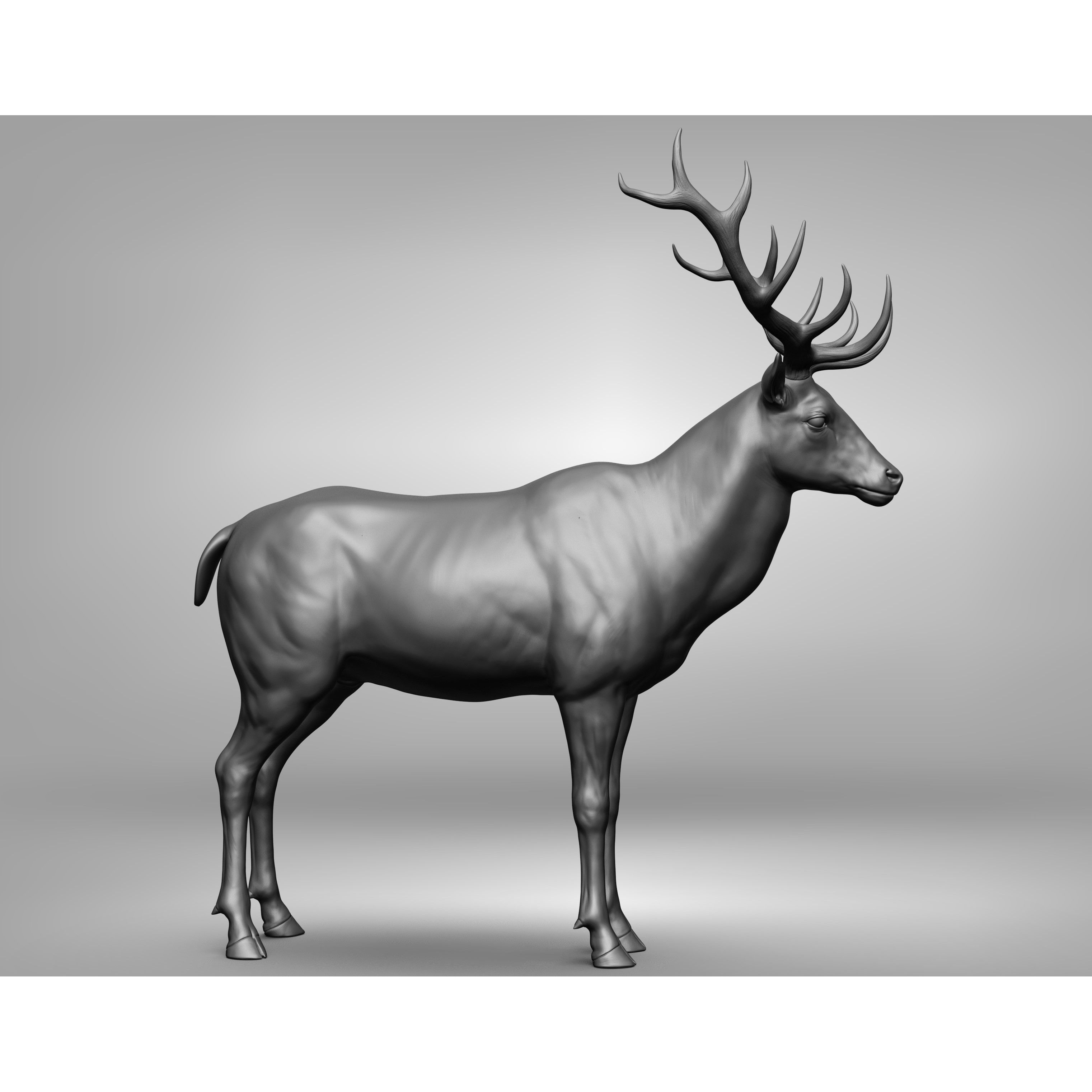 Wild Animal Collection - Realistic 3D Model - View 129