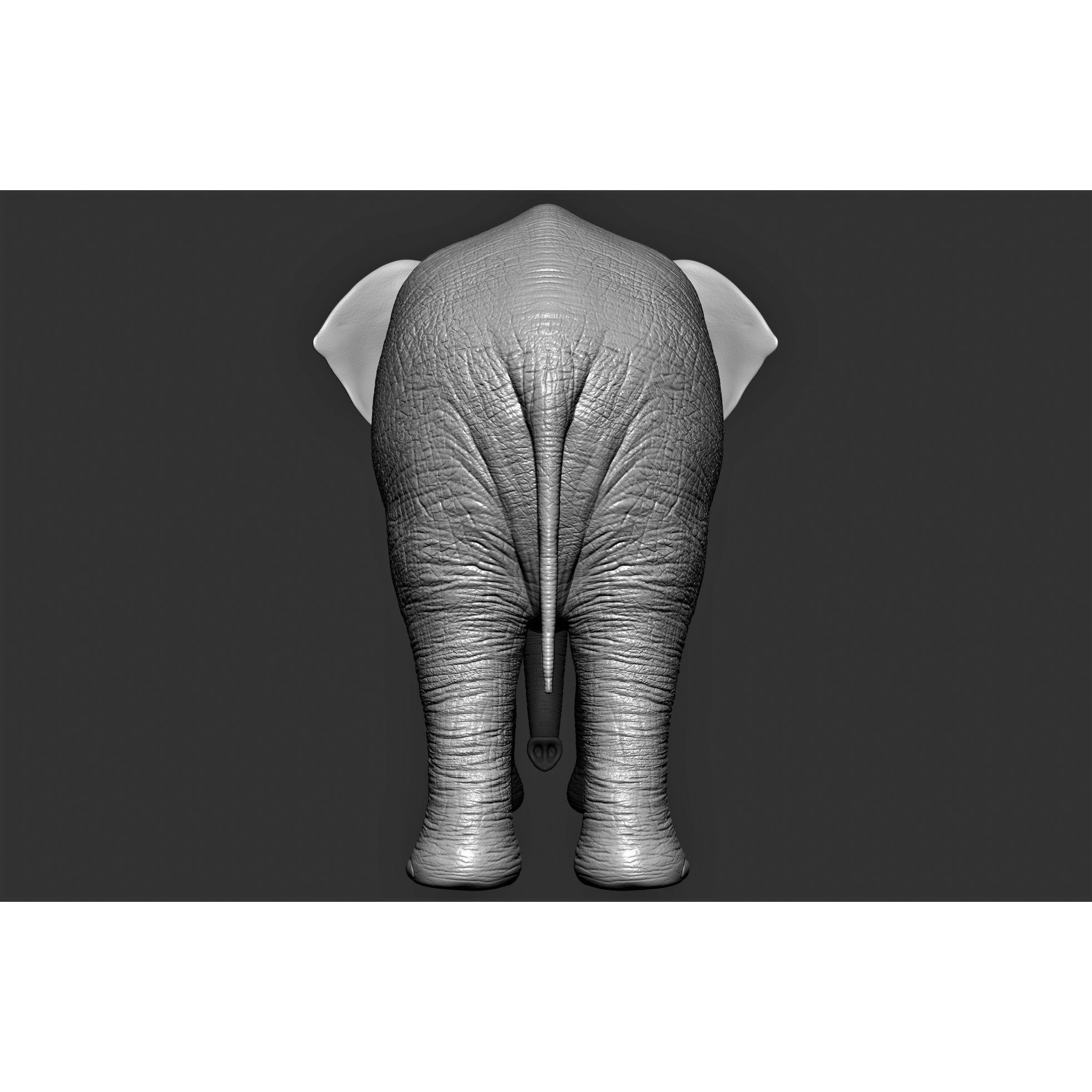 Wild Animal Collection - Realistic 3D Model - View 13