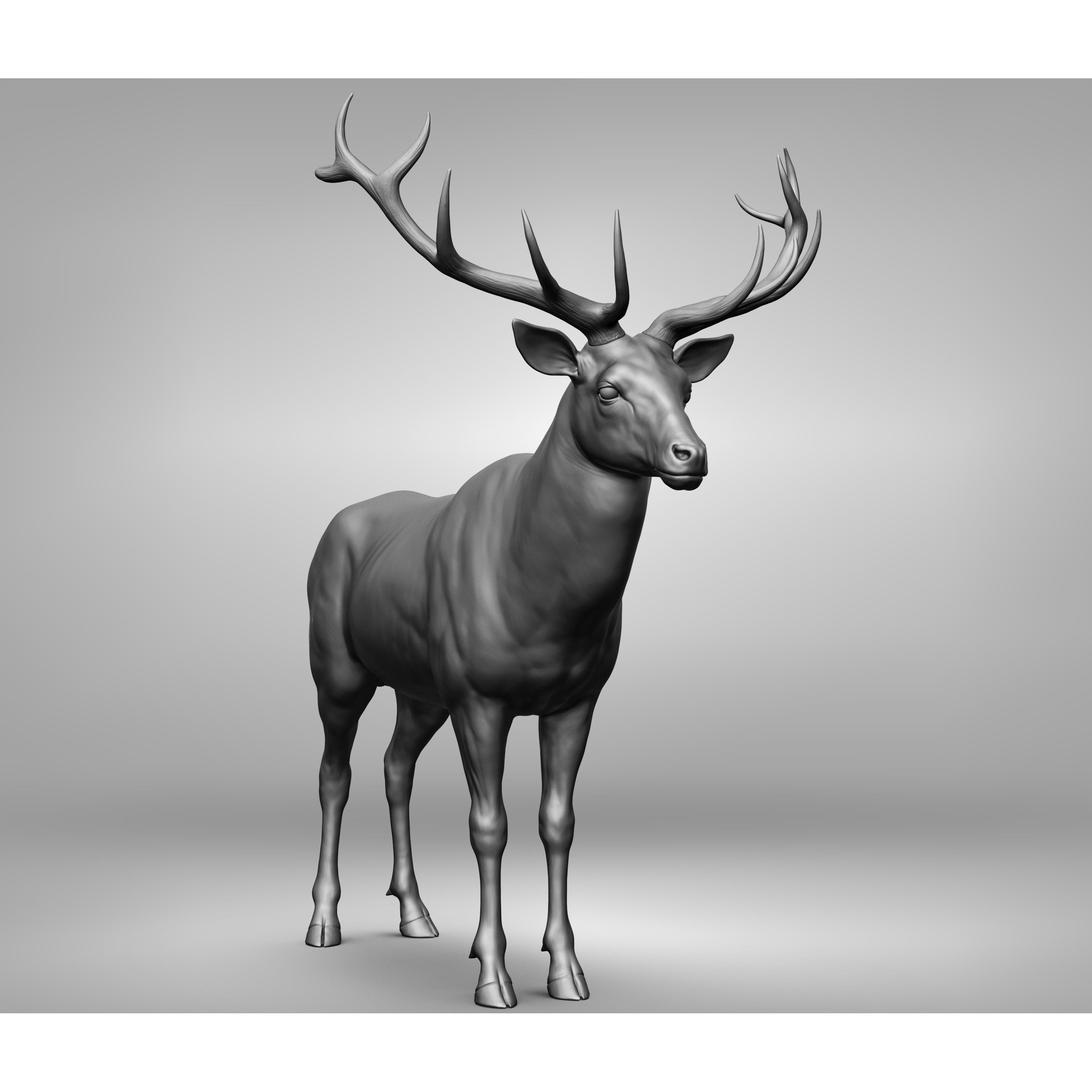 Wild Animal Collection - Realistic 3D Model - View 130