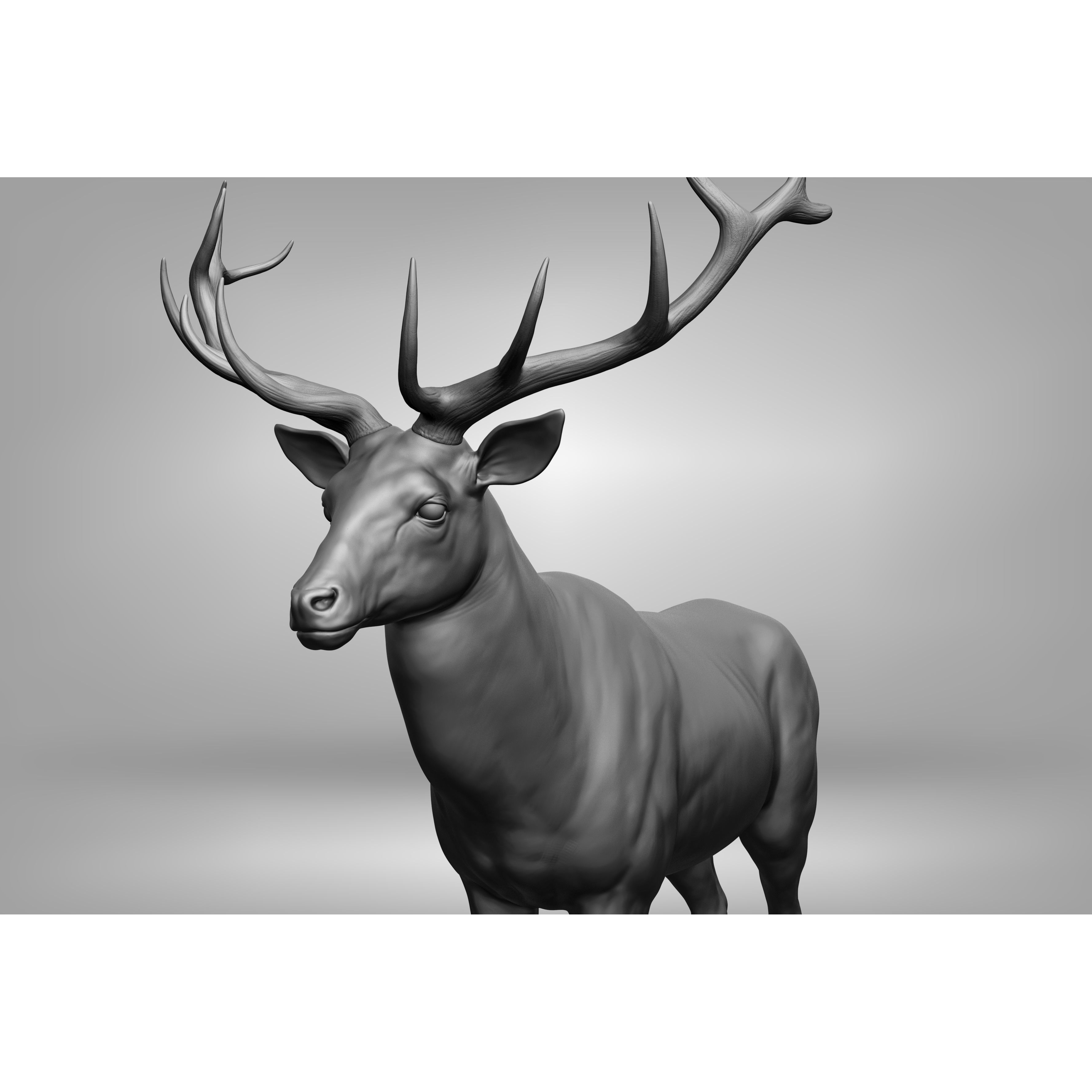 Wild Animal Collection - Realistic 3D Model - View 131