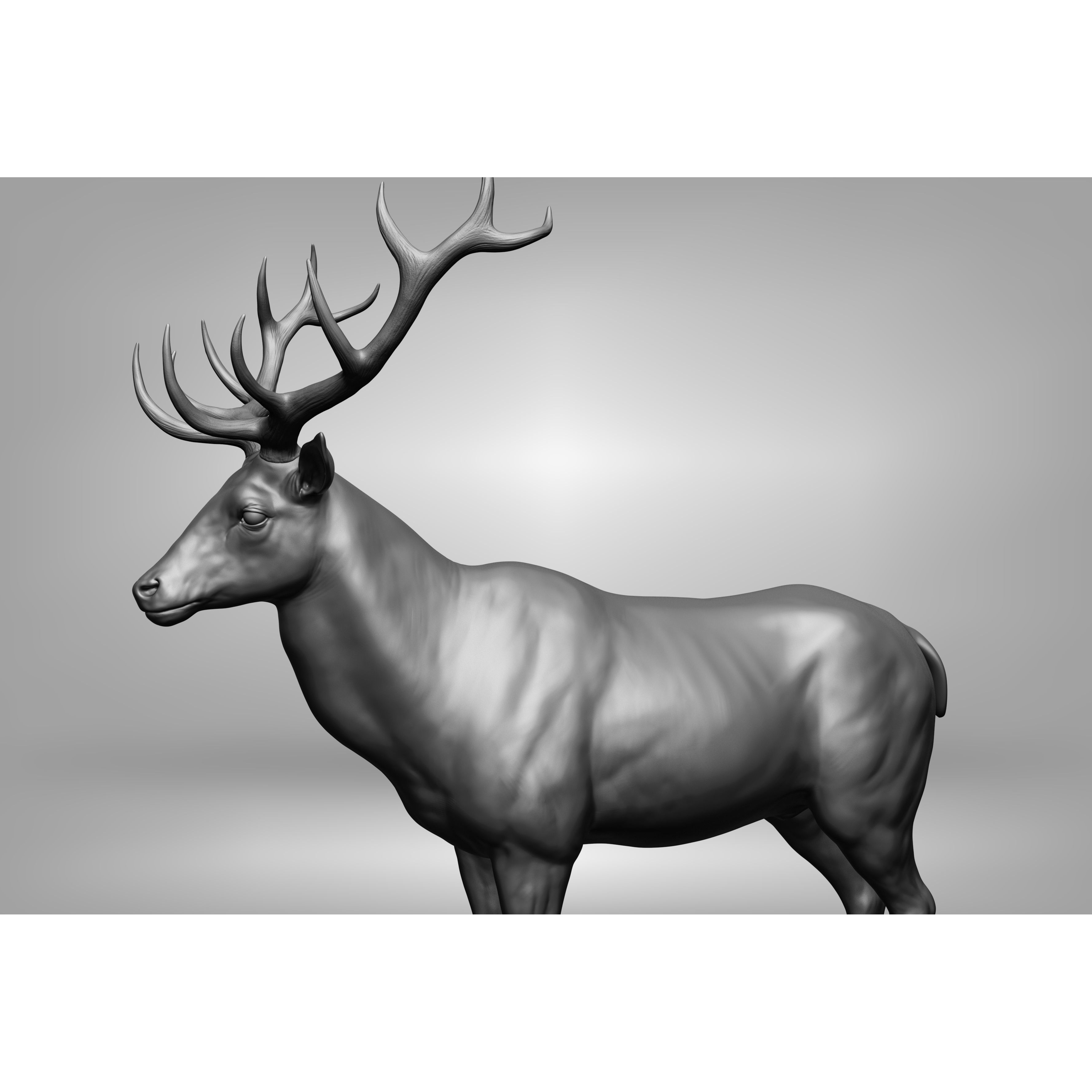 Wild Animal Collection - Realistic 3D Model - View 132