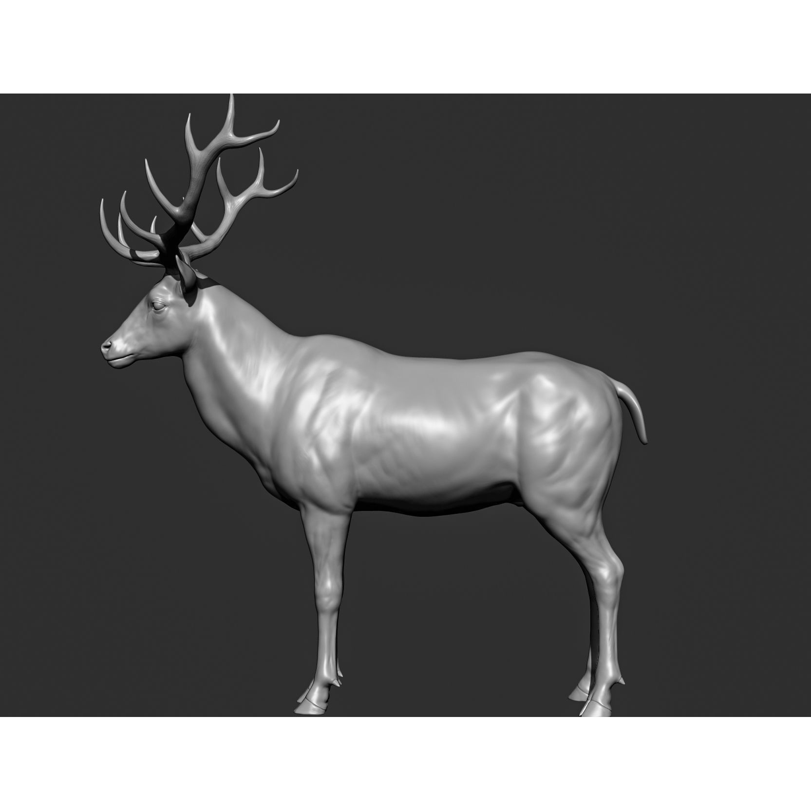 Wild Animal Collection - Realistic 3D Model - View 133