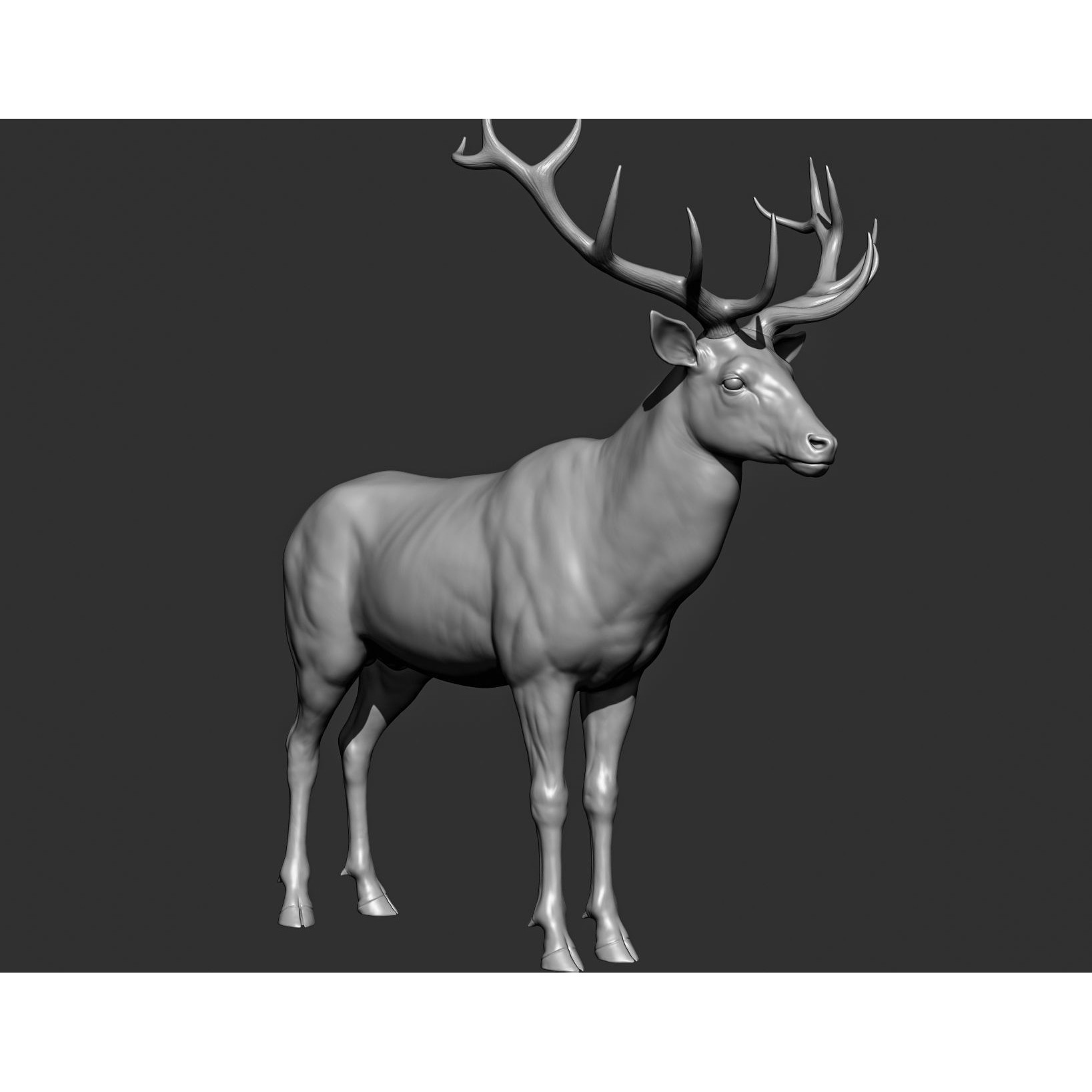 Wild Animal Collection - Realistic 3D Model - View 134