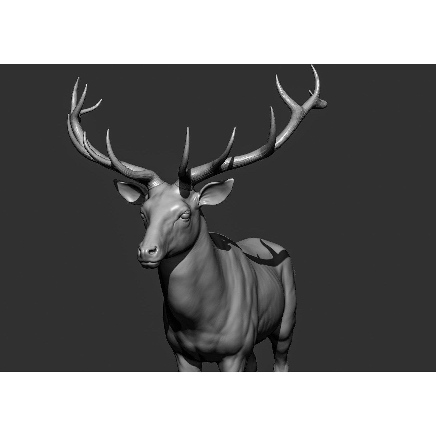 Wild Animal Collection - Realistic 3D Model - View 135