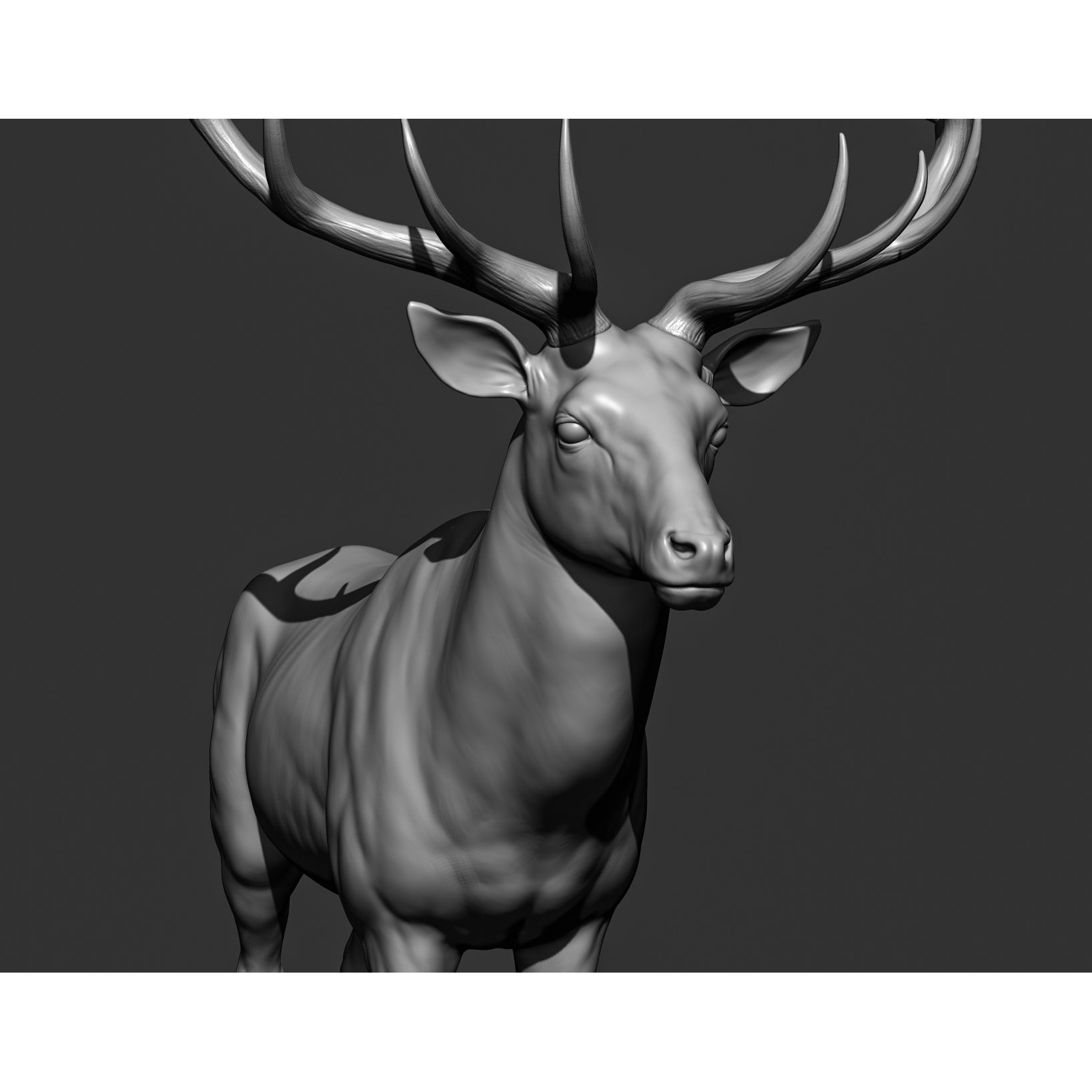 Wild Animal Collection - Realistic 3D Model - View 136
