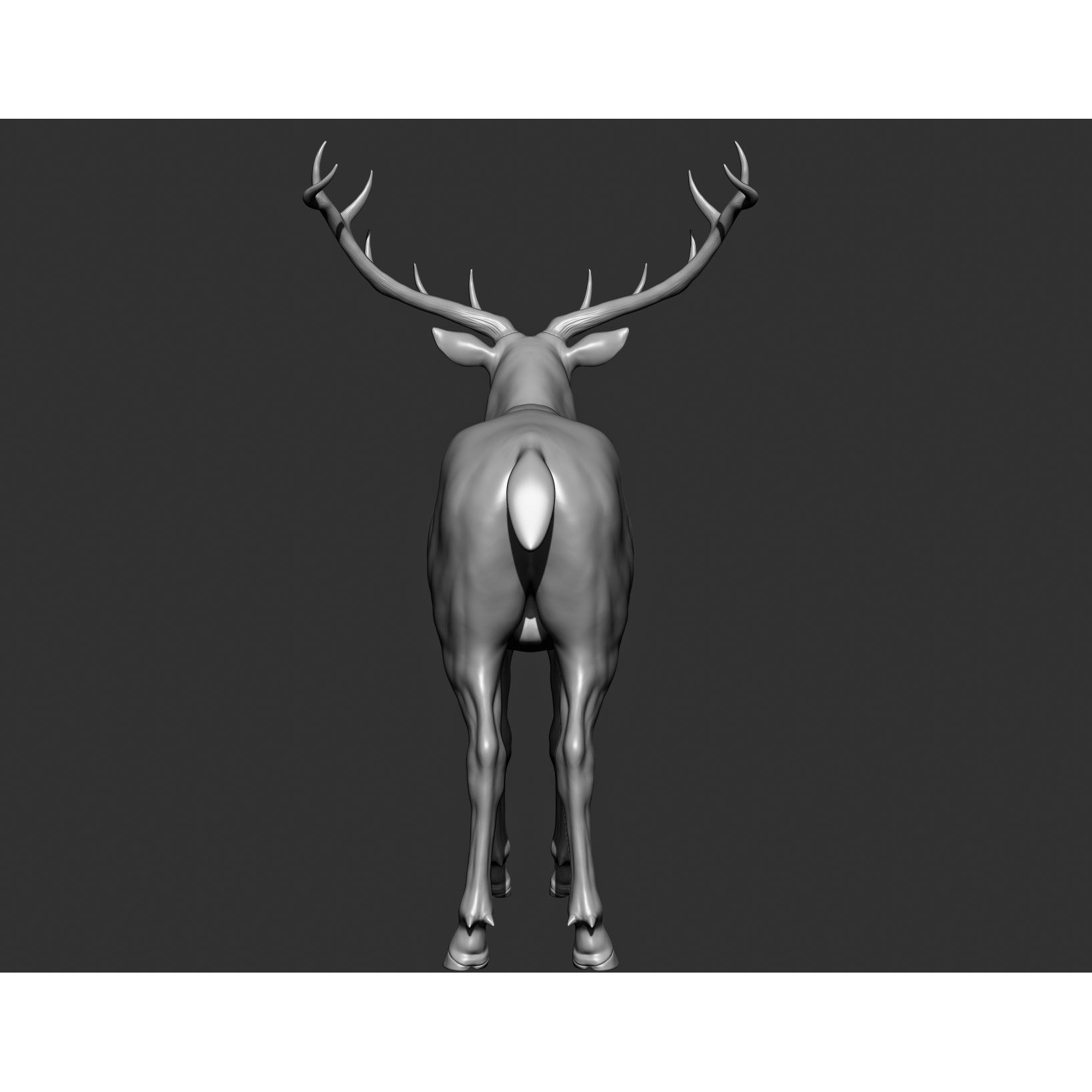 Wild Animal Collection - Realistic 3D Model - View 137