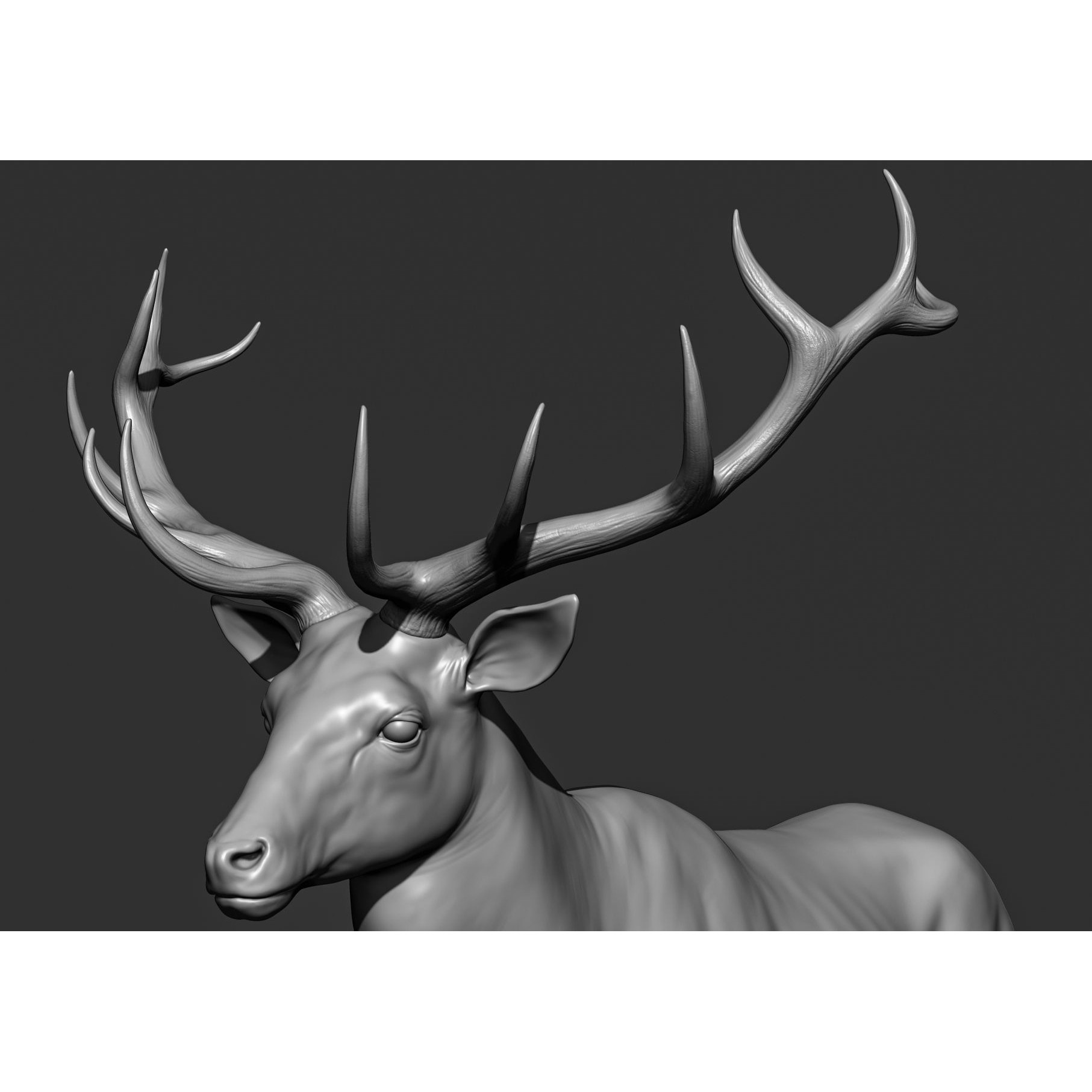 Wild Animal Collection - Realistic 3D Model - View 138