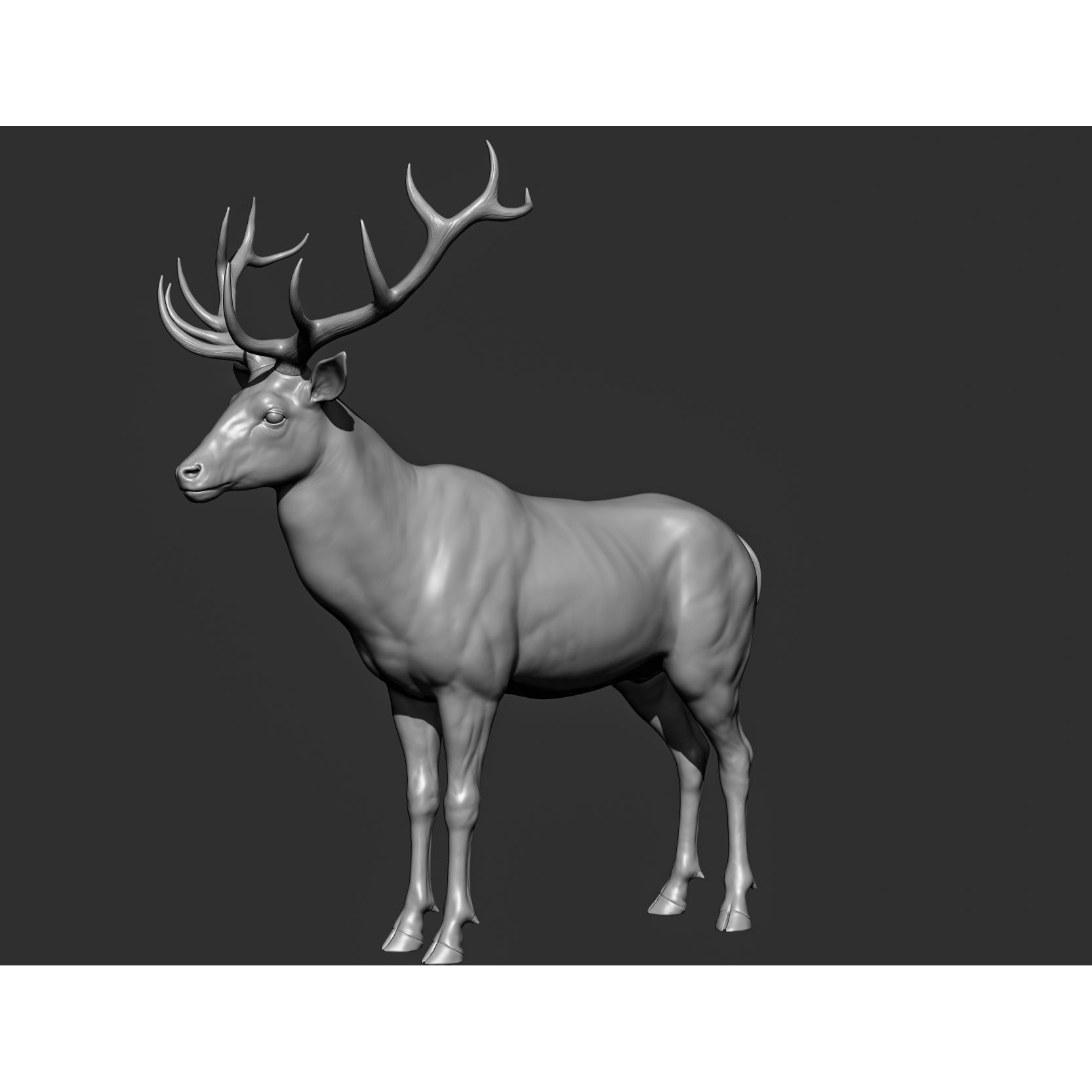 Wild Animal Collection - Realistic 3D Model - View 139