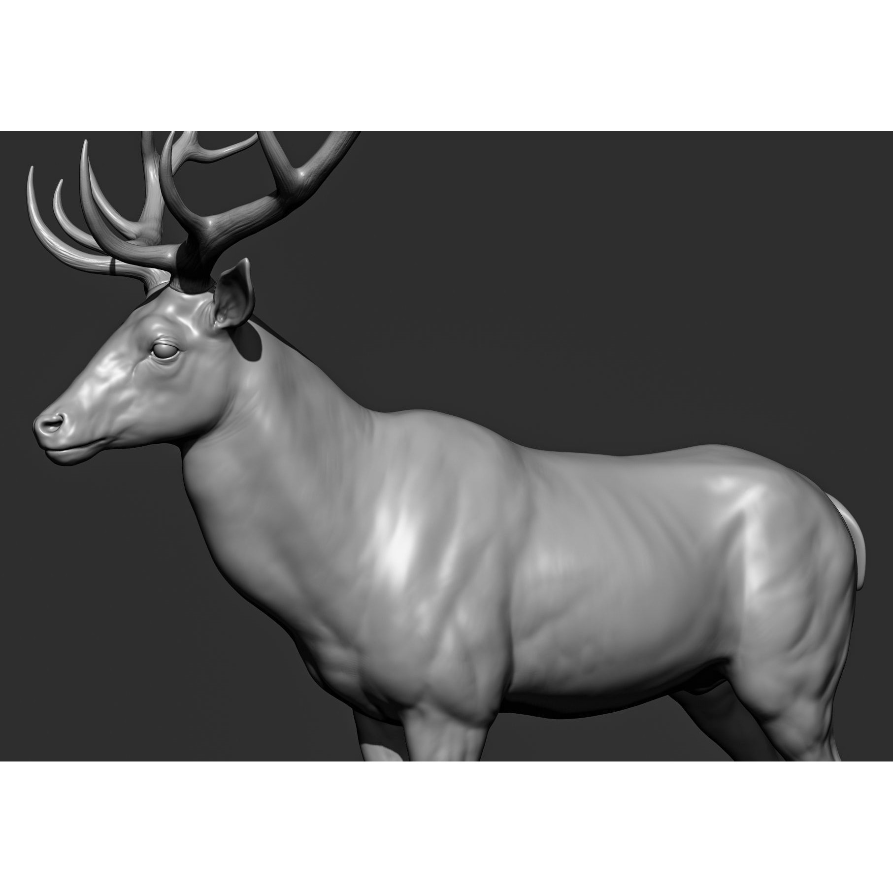 Wild Animal Collection - Realistic 3D Model - View 140