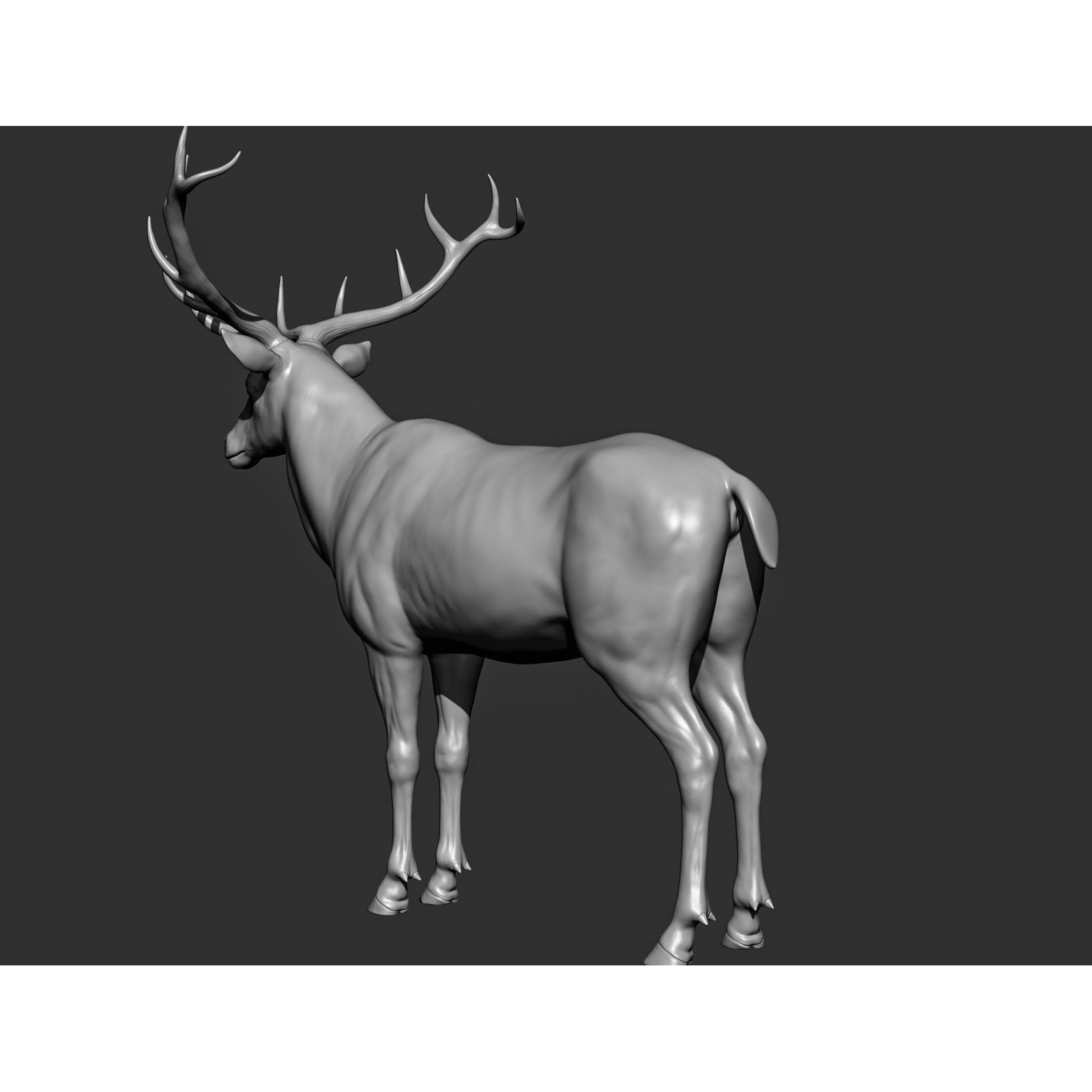 Wild Animal Collection - Realistic 3D Model - View 141