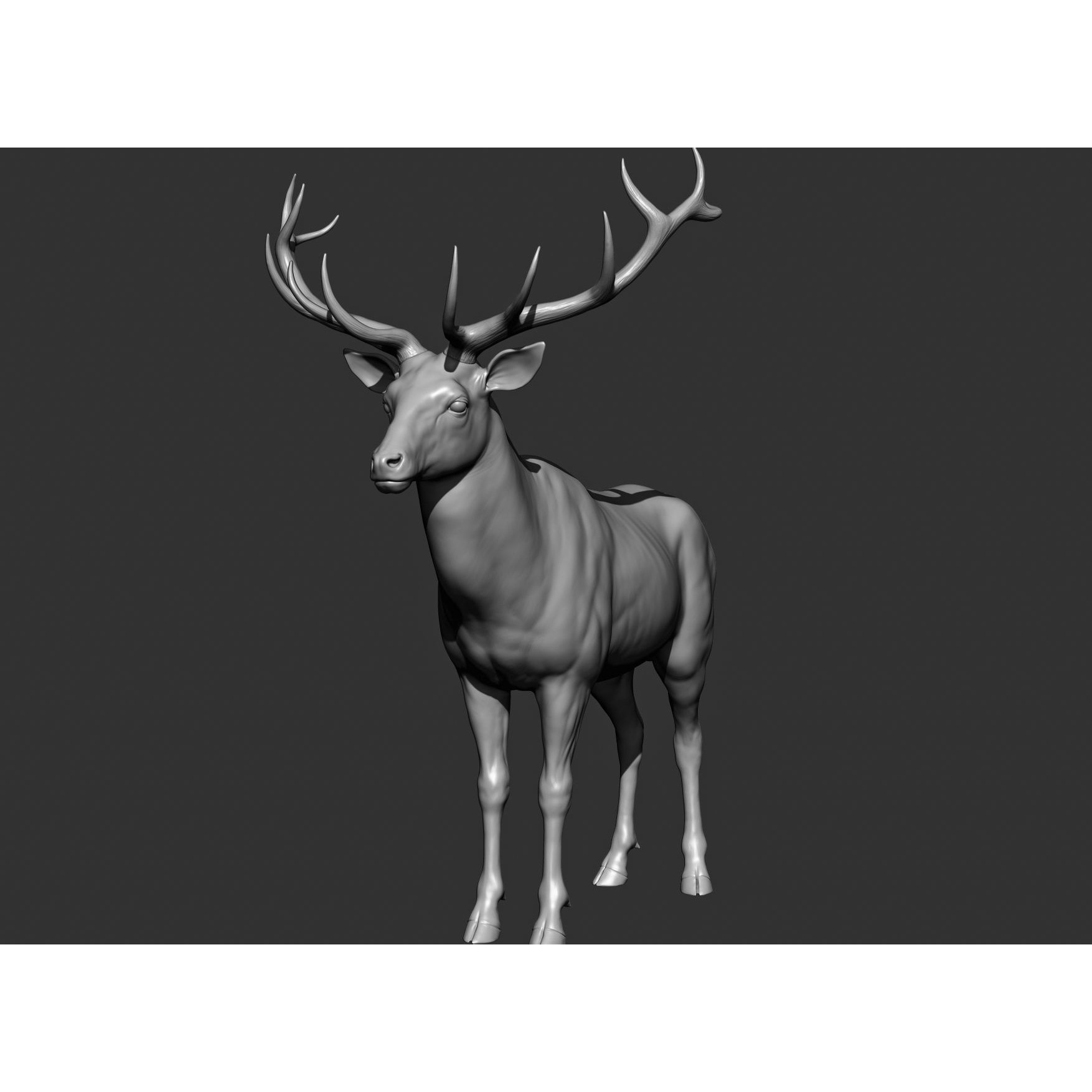 Wild Animal Collection - Realistic 3D Model - View 142