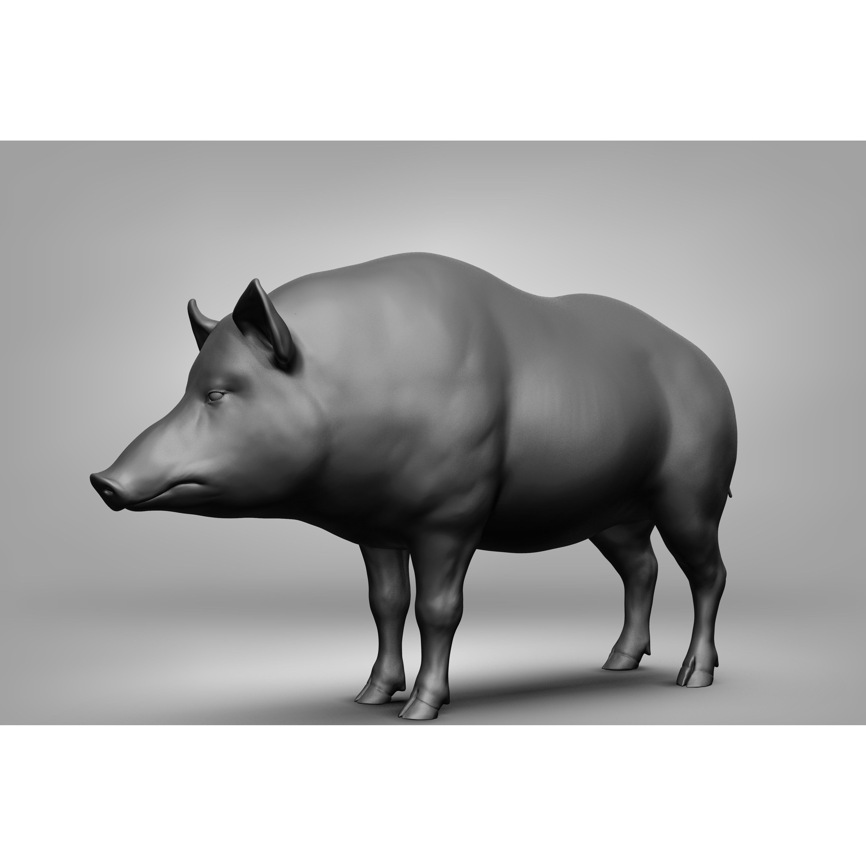 Wild Animal Collection - Realistic 3D Model - View 143