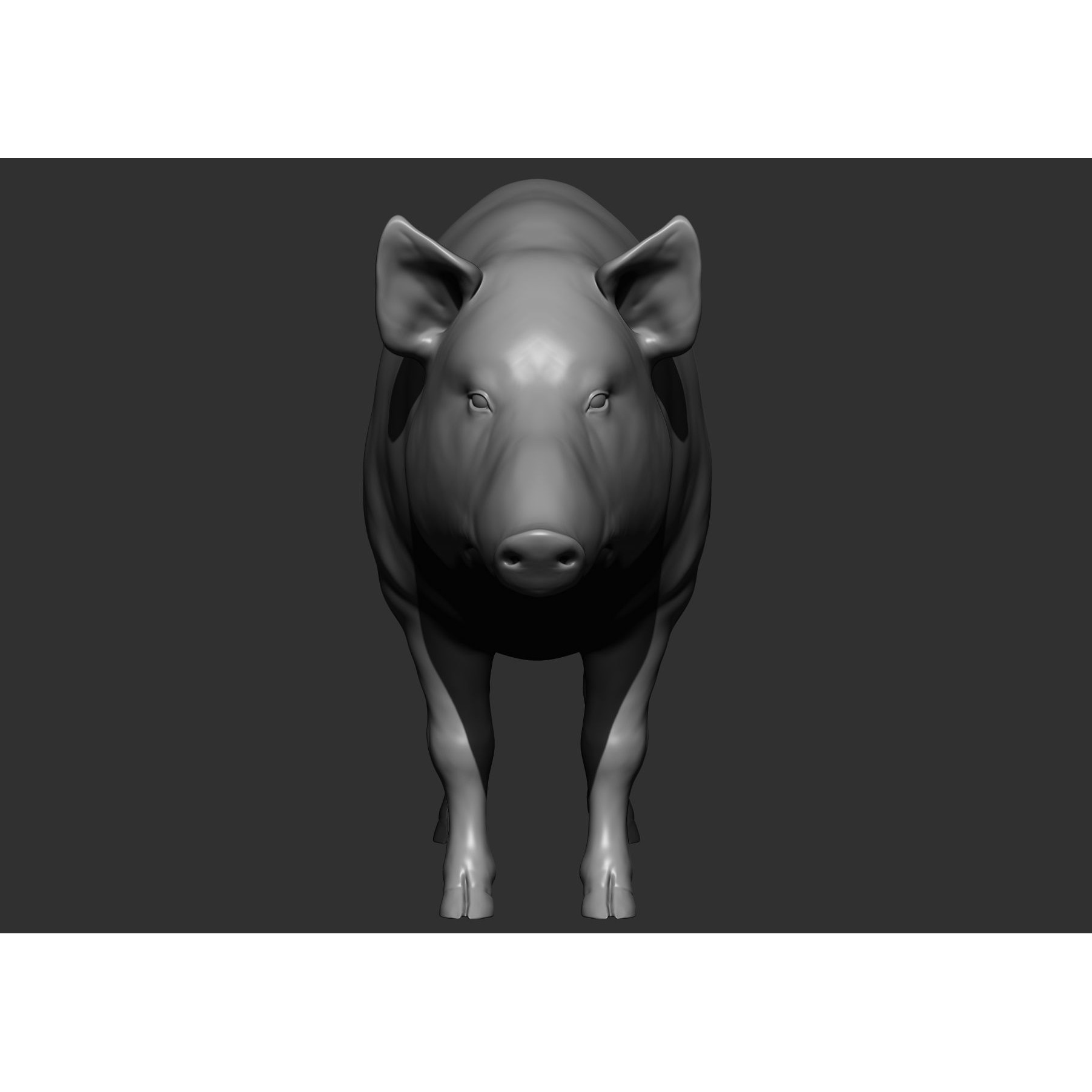 Wild Animal Collection - Realistic 3D Model - View 144
