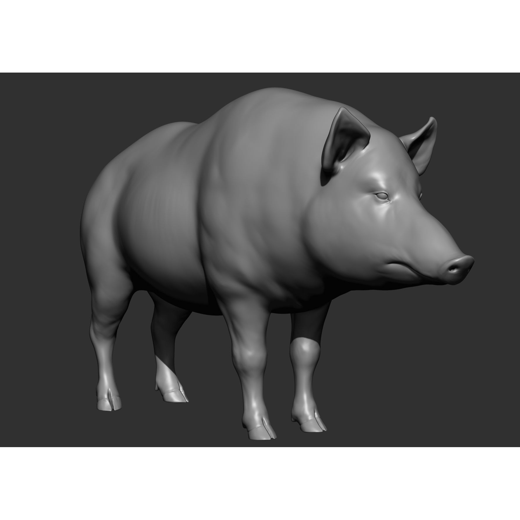 Wild Animal Collection - Realistic 3D Model - View 146