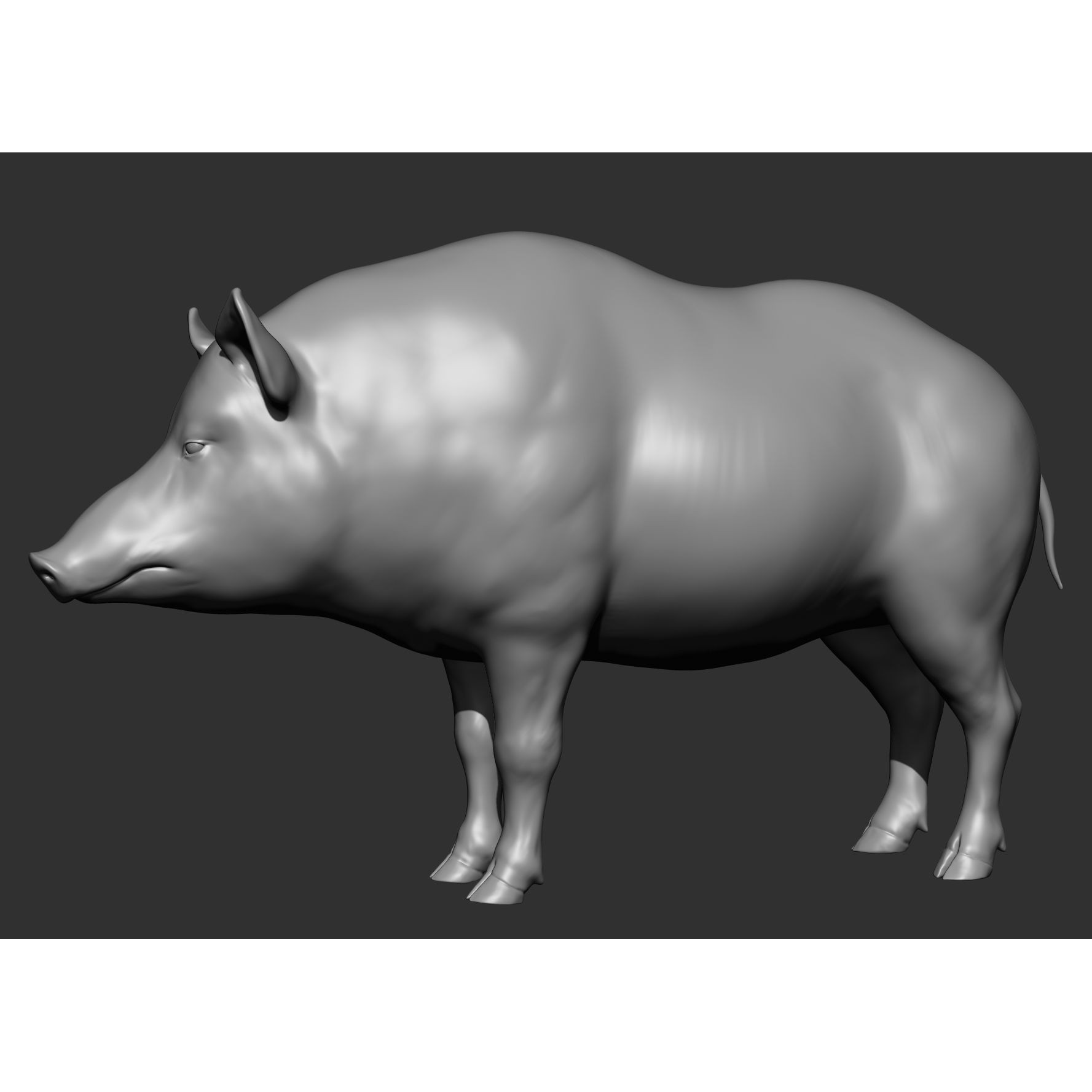 Wild Animal Collection - Realistic 3D Model - View 147