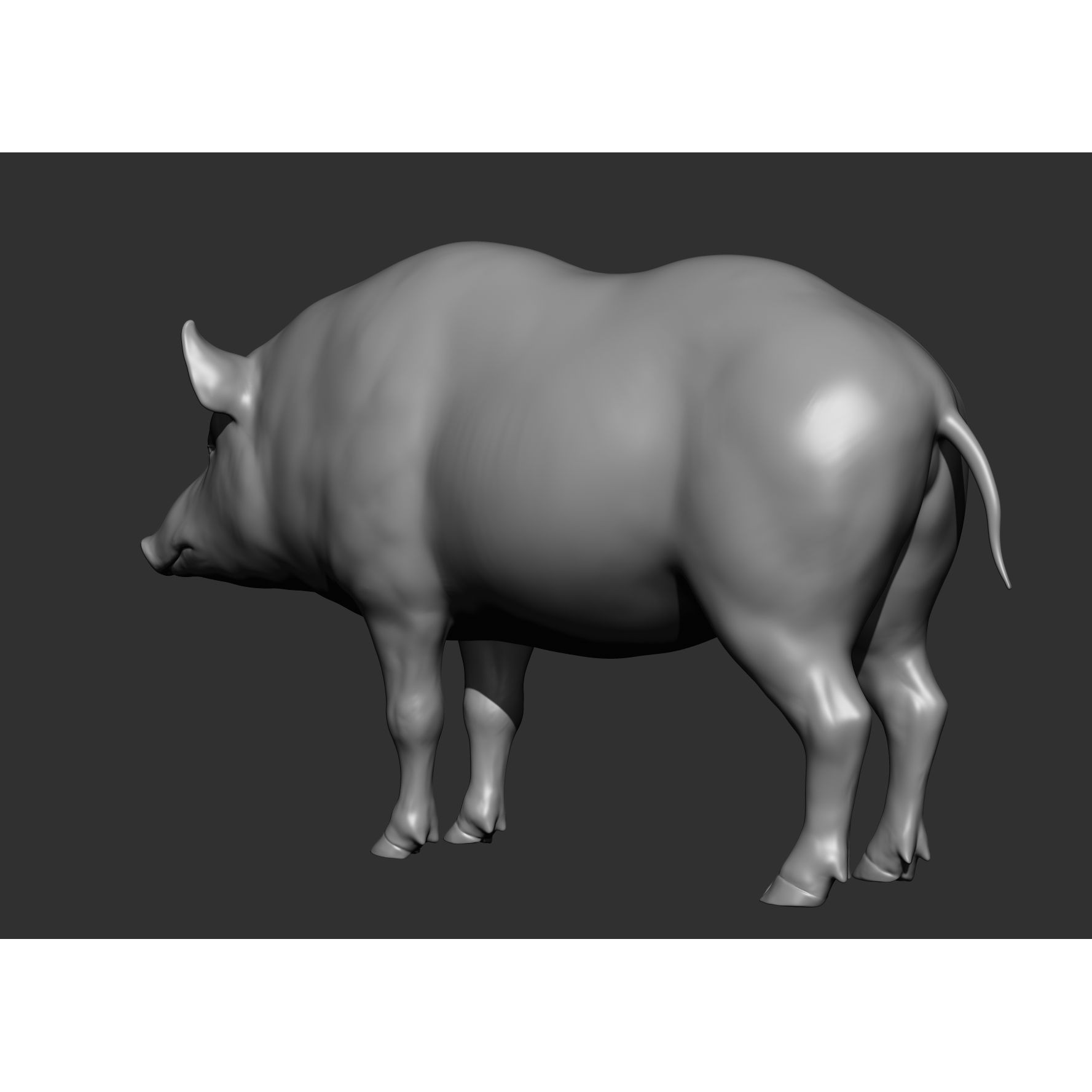 Wild Animal Collection - Realistic 3D Model - View 148